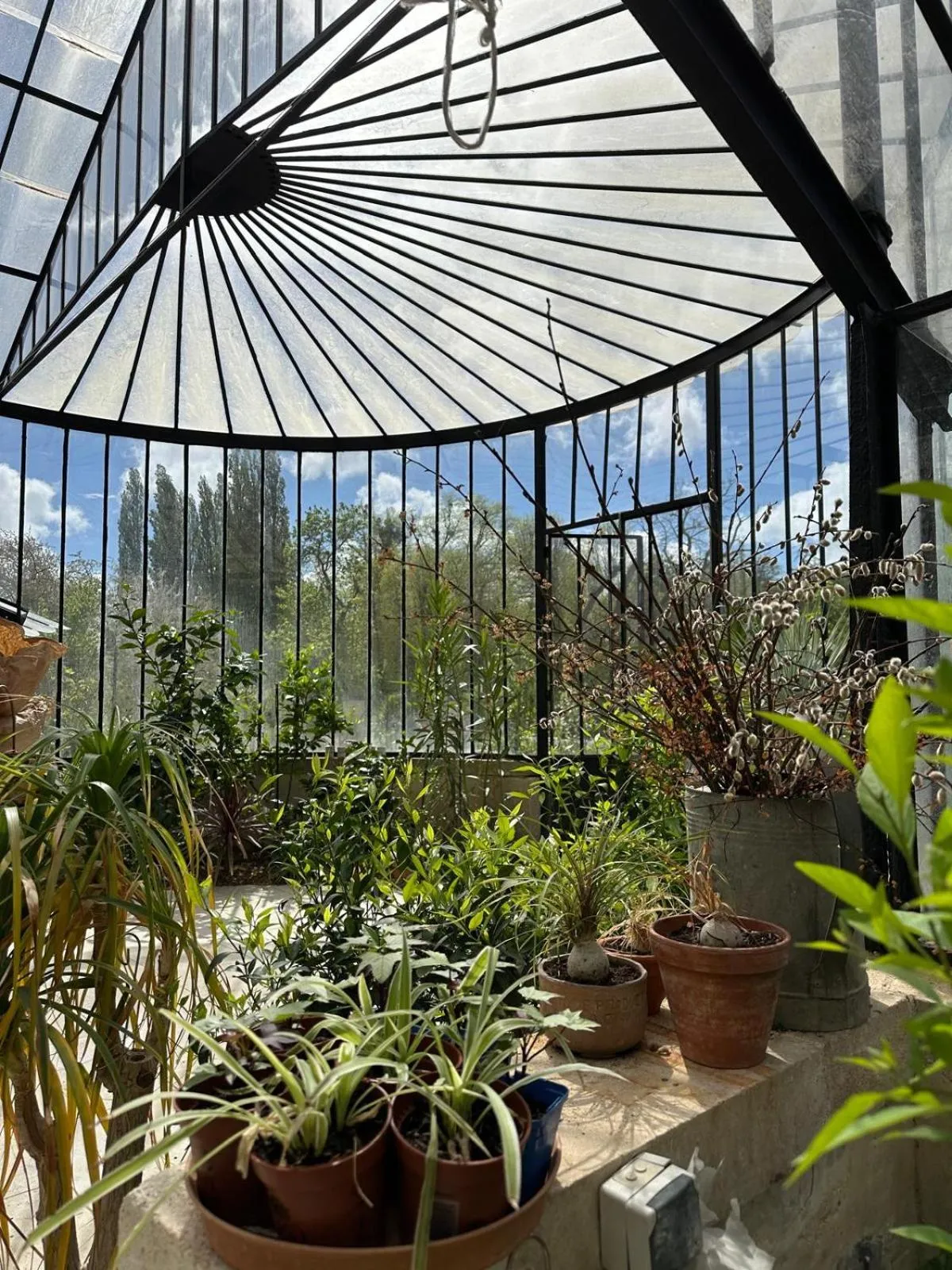 Garden in Château De La Bûcherie