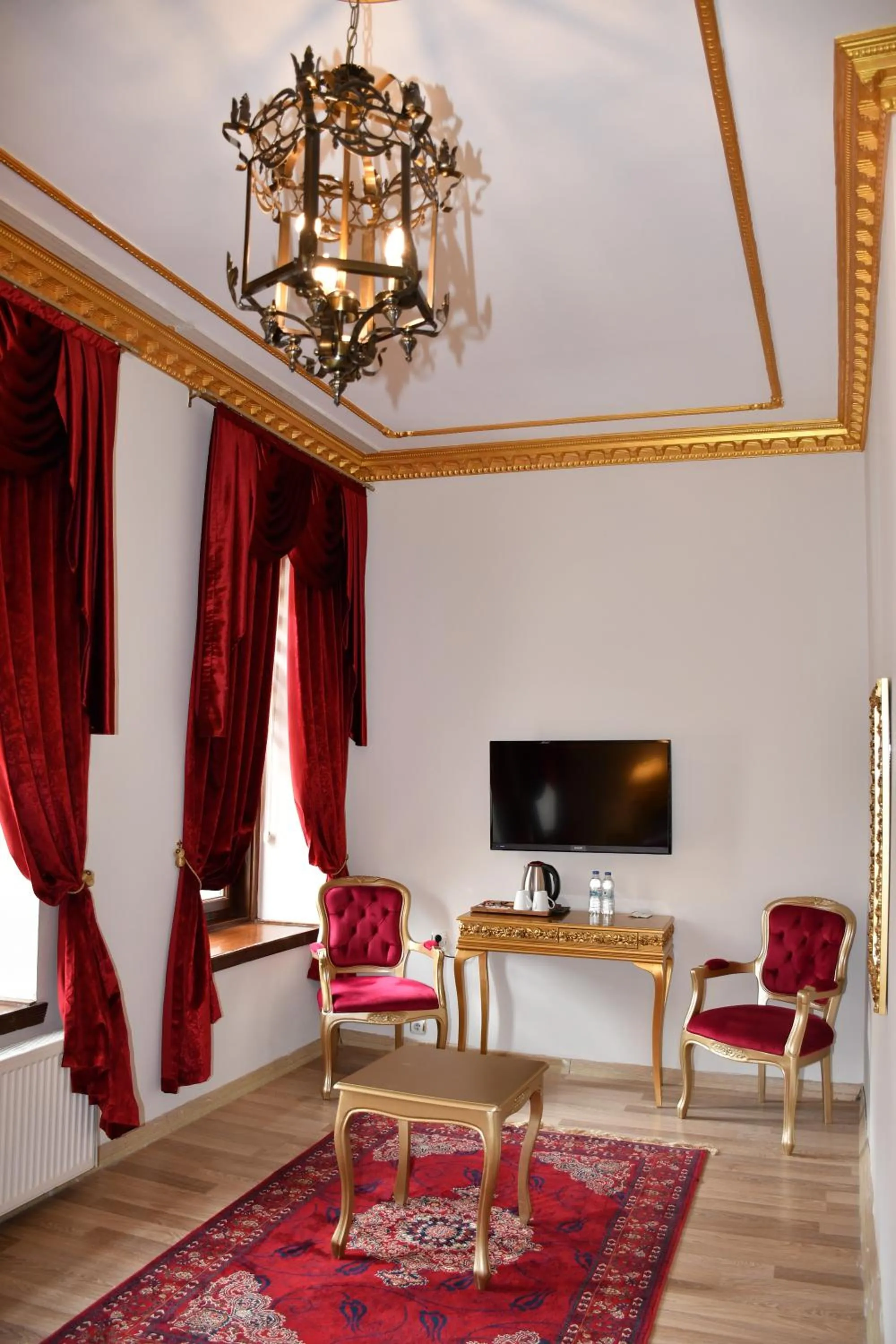 TV and multimedia in Katerina Palace 1877