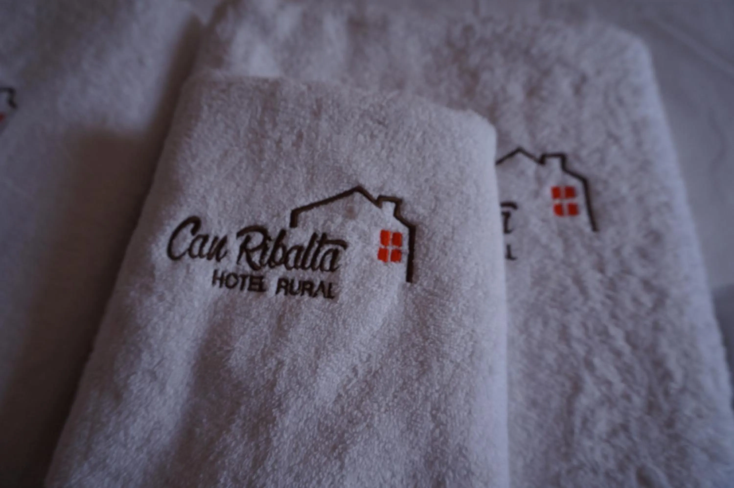Property logo or sign in Hotel Can Ribalta