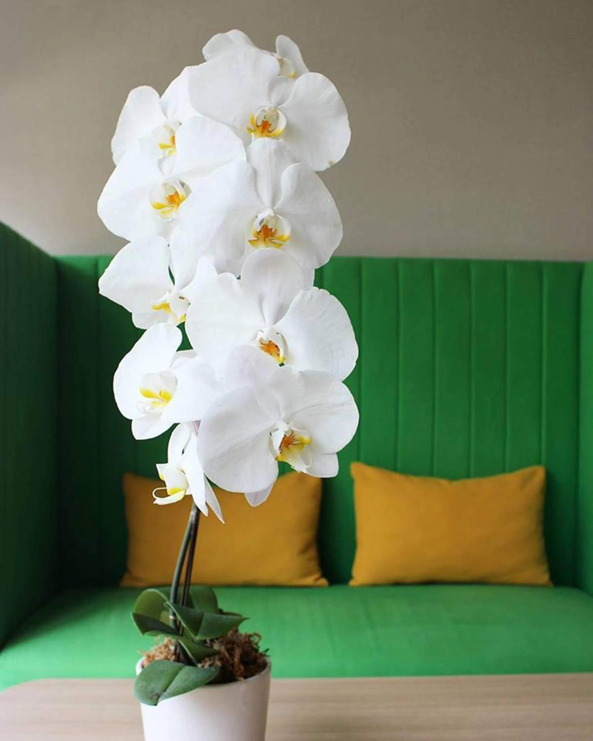 Decorative detail in Park Inn By Radisson Clark