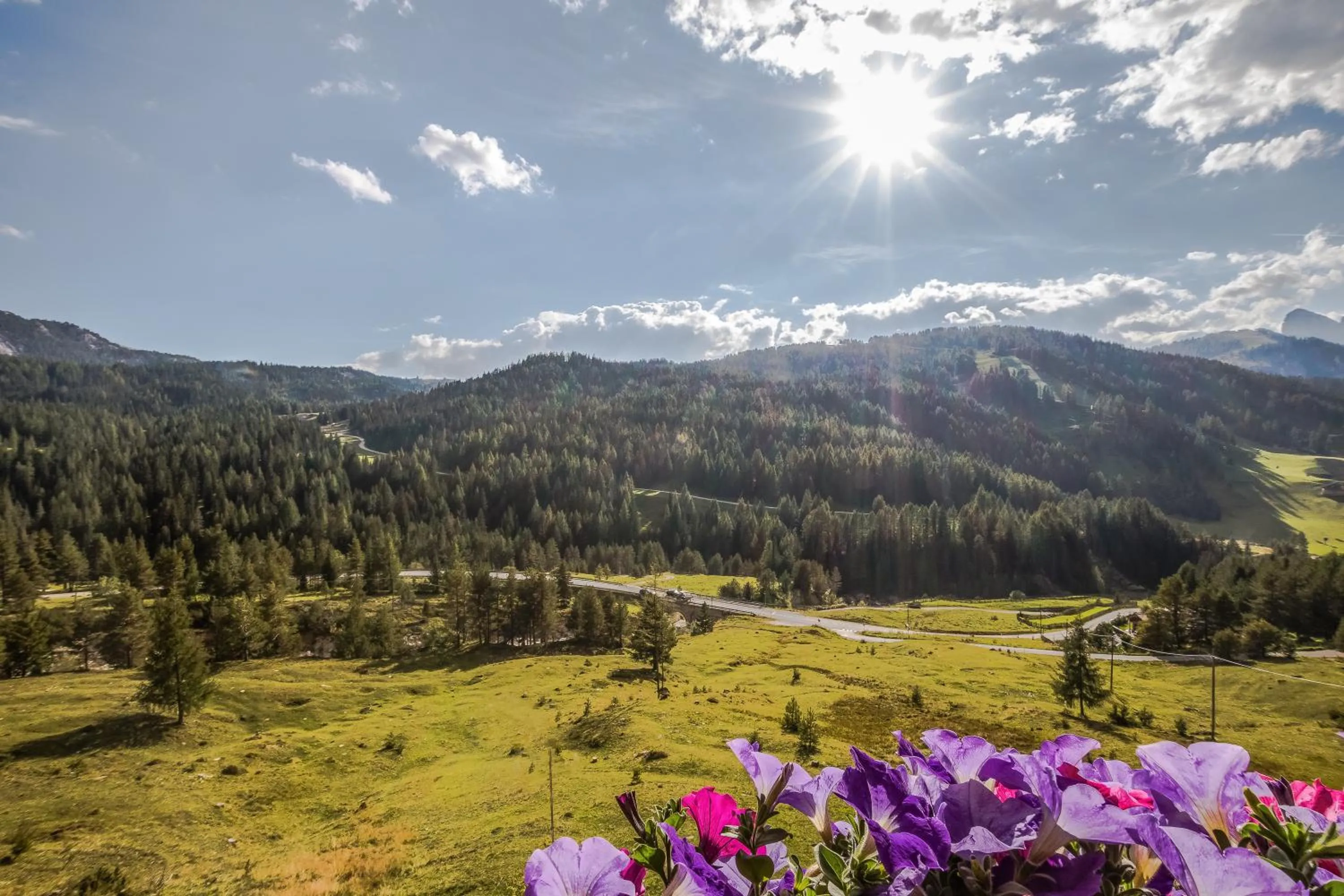 View (from property/room) in Garni Baita