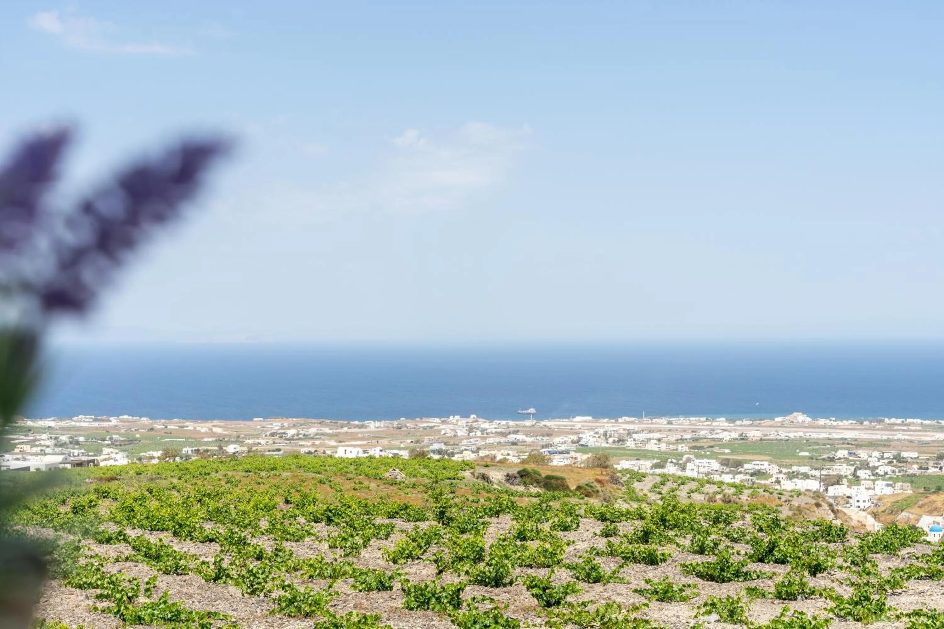 Day in Ampelos Executive Houses