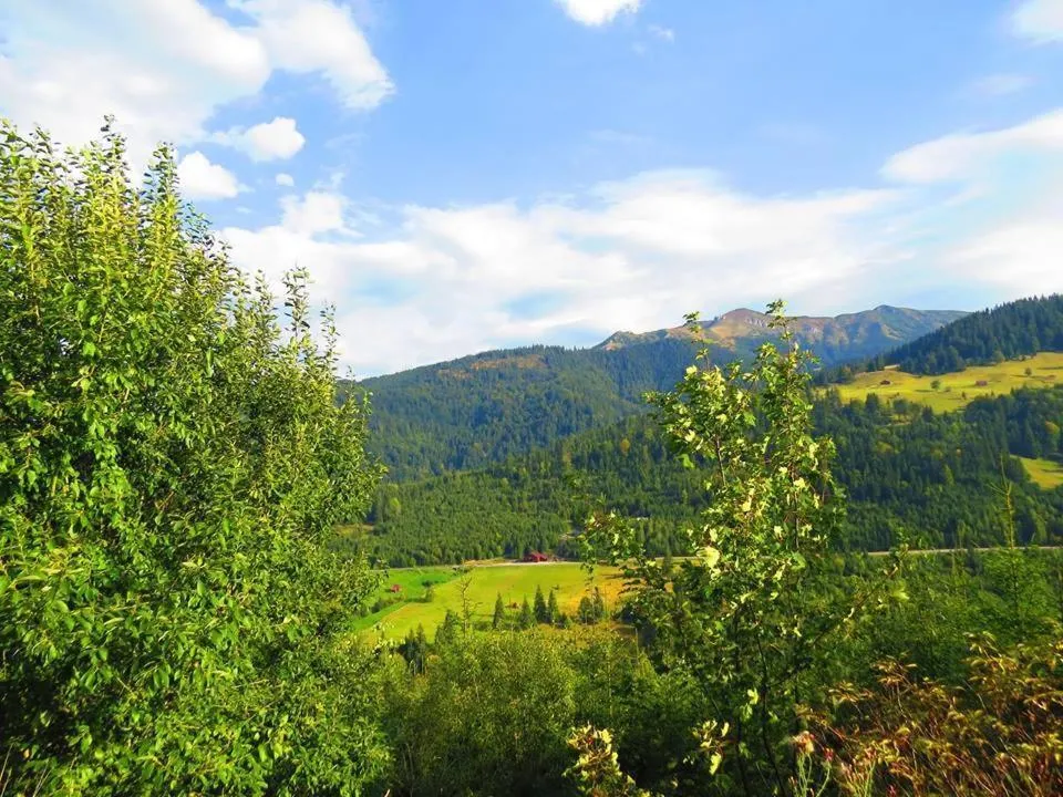 Off site in Hanul Prislop