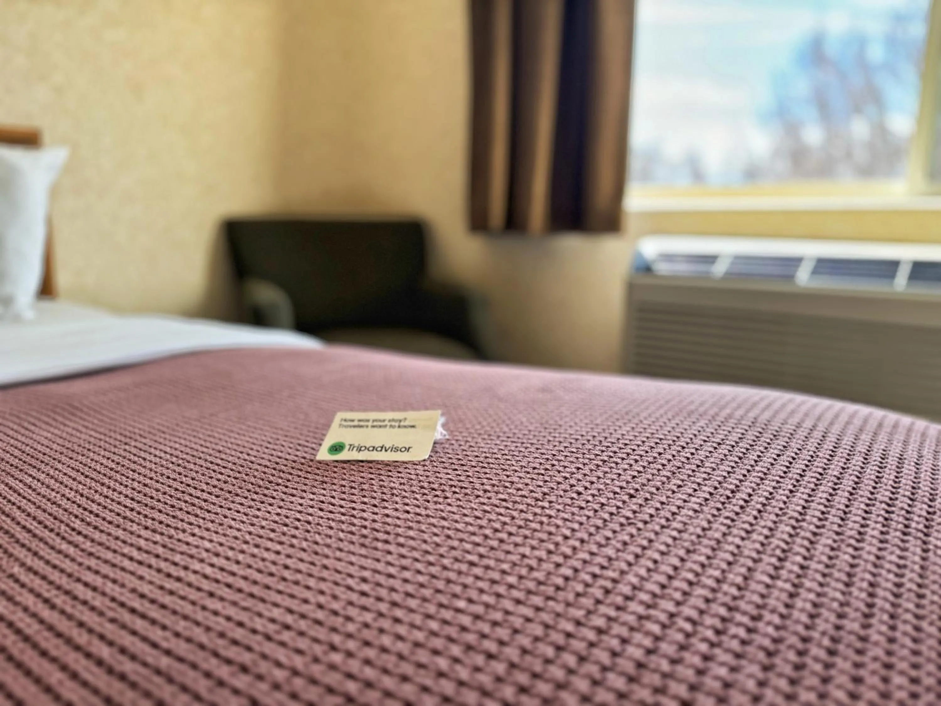 Bed in Stay Wise Inn Cedaredge