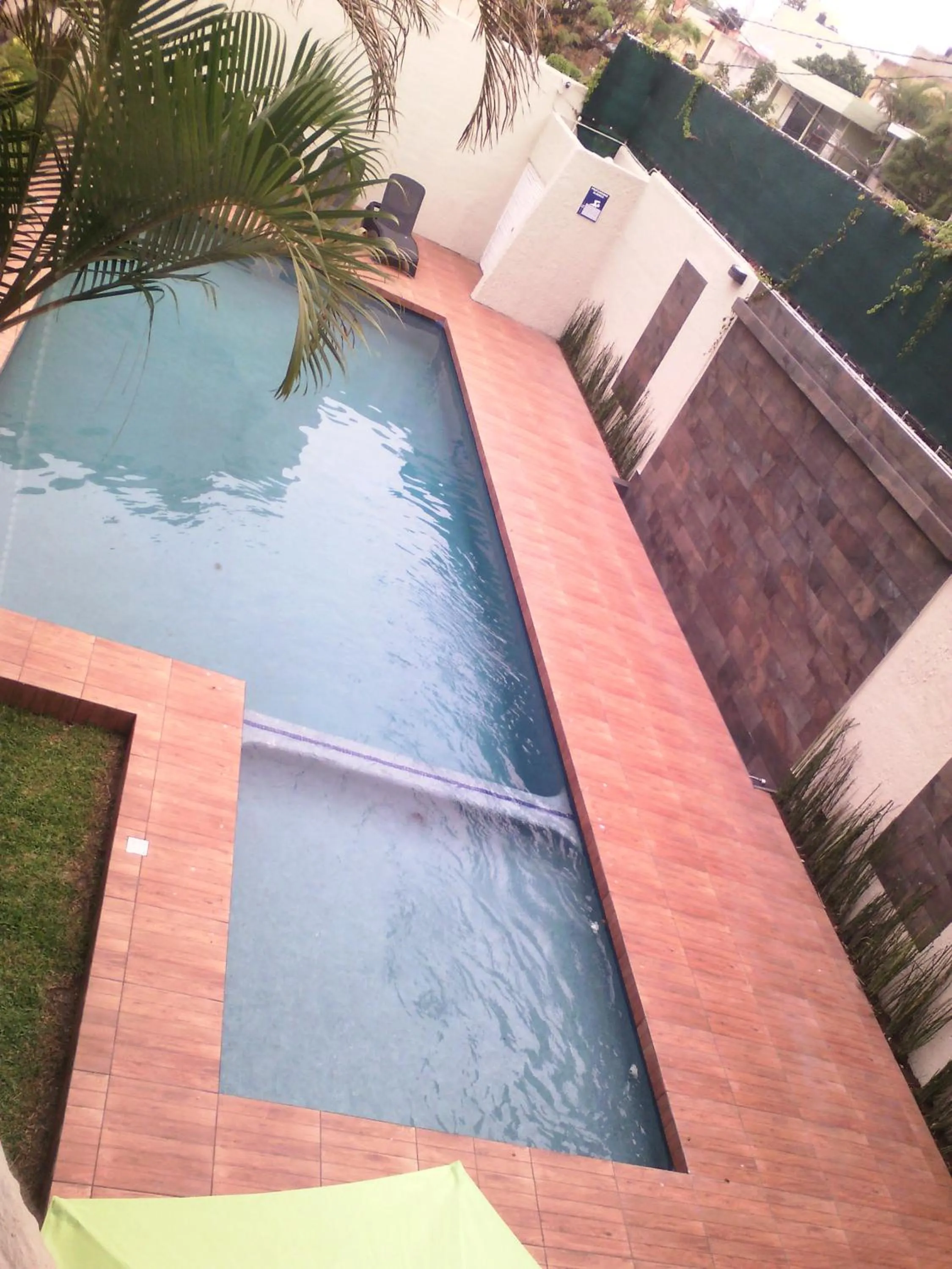 Pool view in Hotel Platino Expo Guadalajara