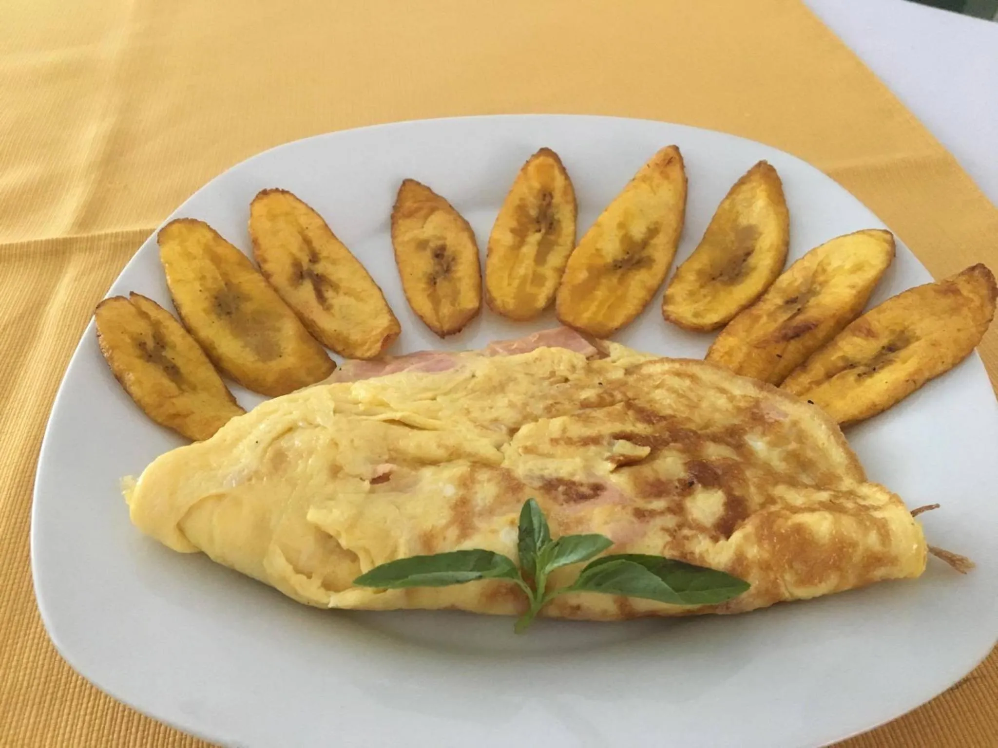 Food in Hotel Jhor Bush