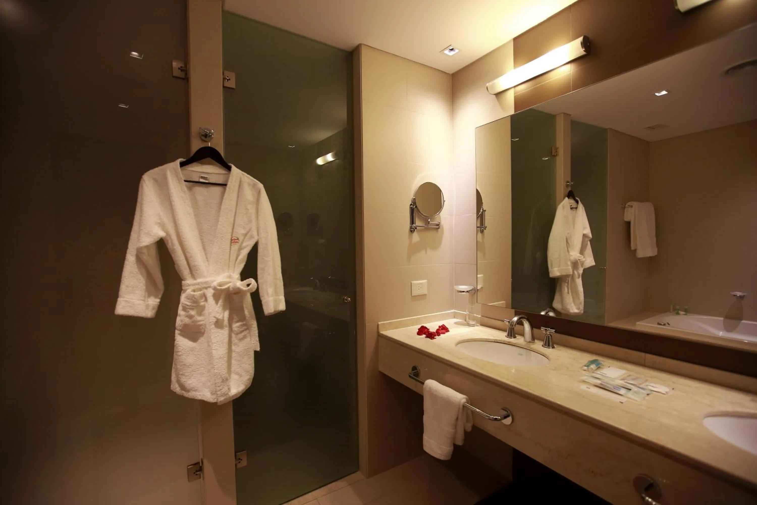 Bathroom in Hotel y Casino Del Río - General Roca