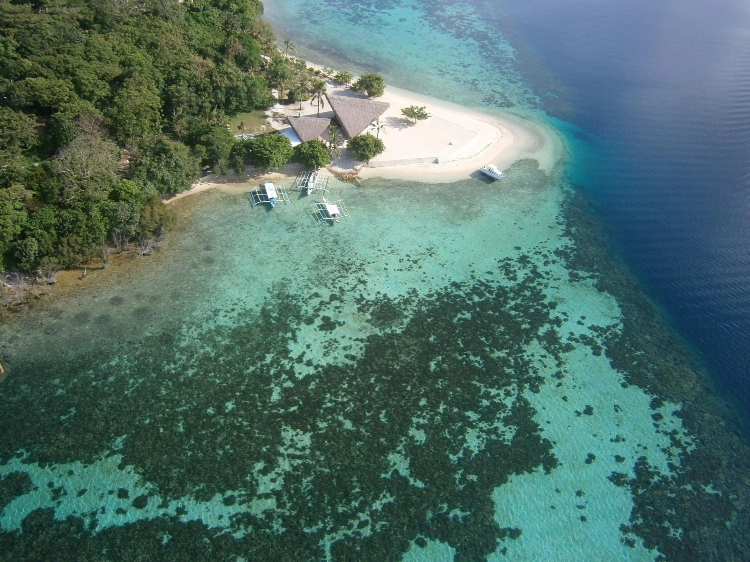 Beach in NoaNoa Private Island