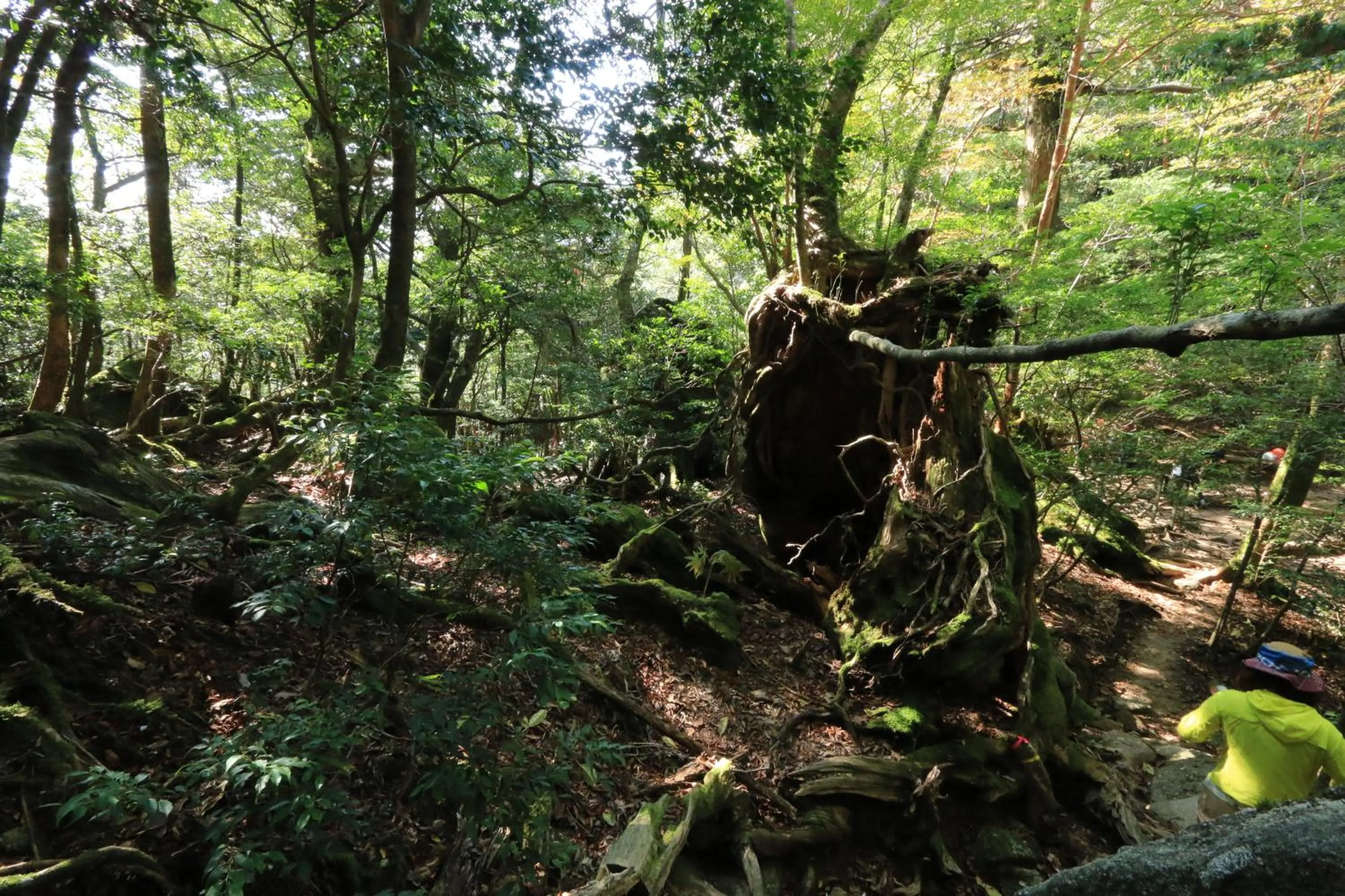 Nearby landmark in Miyanouraso