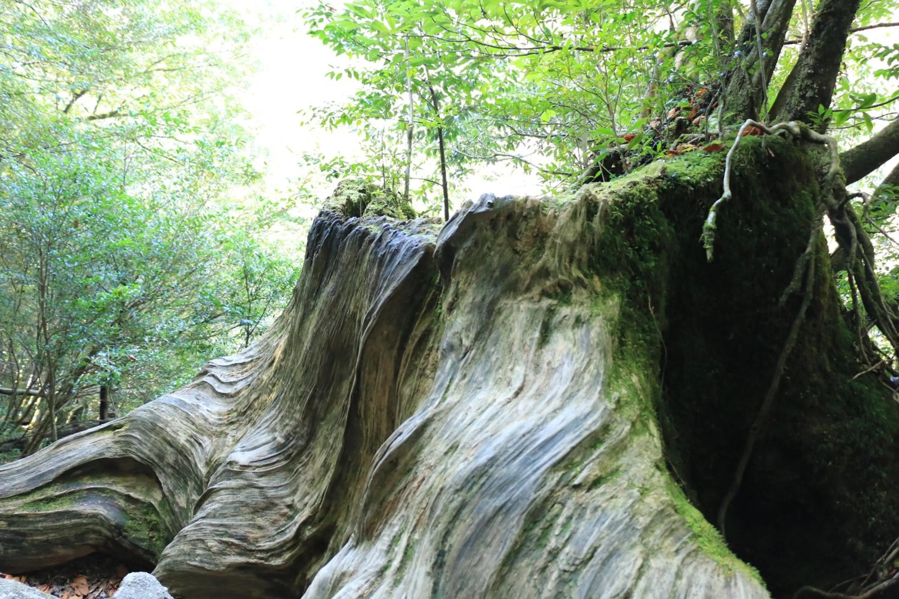 Nearby landmark in Miyanouraso