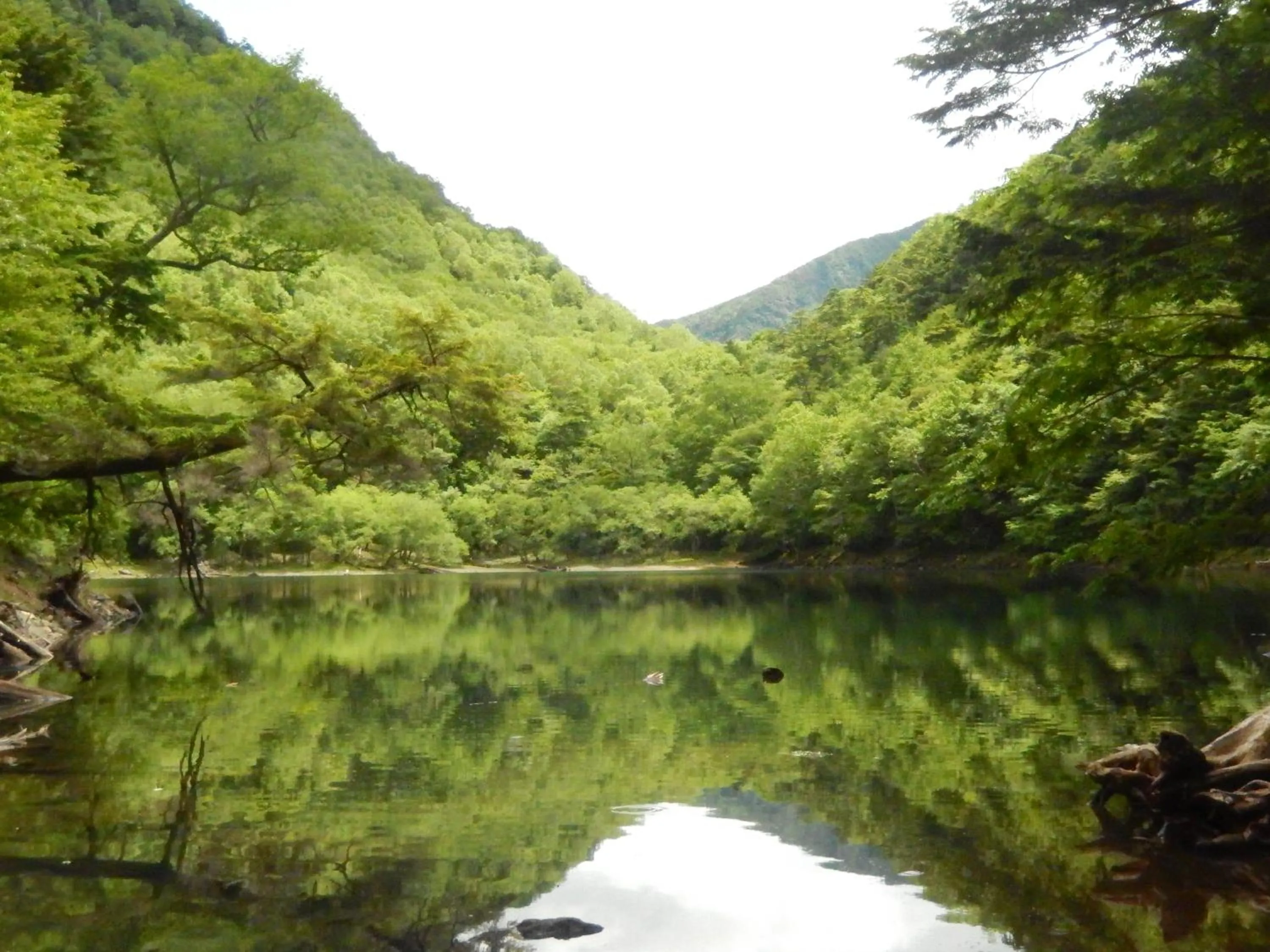 Natural landscape in Nikko Astraea Hotel