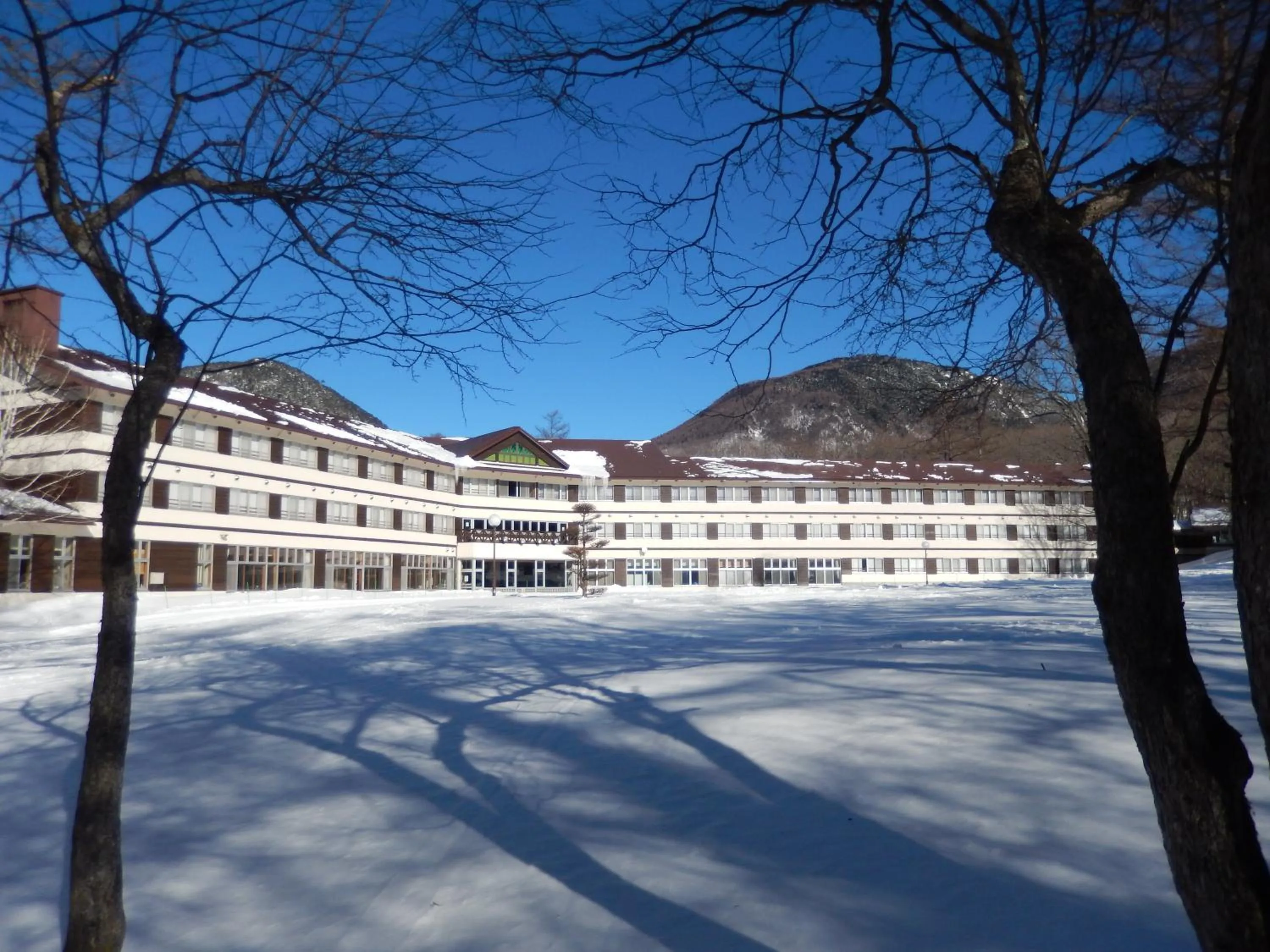 Winter in Nikko Astraea Hotel