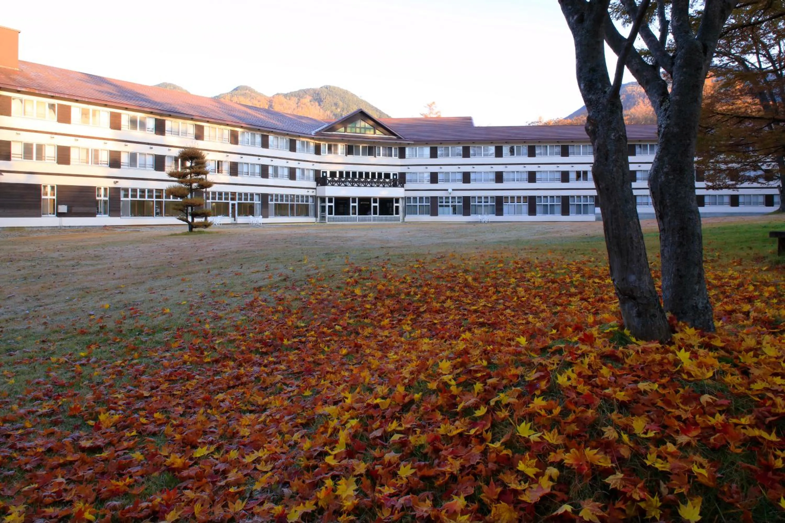 Facade/entrance in Nikko Astraea Hotel
