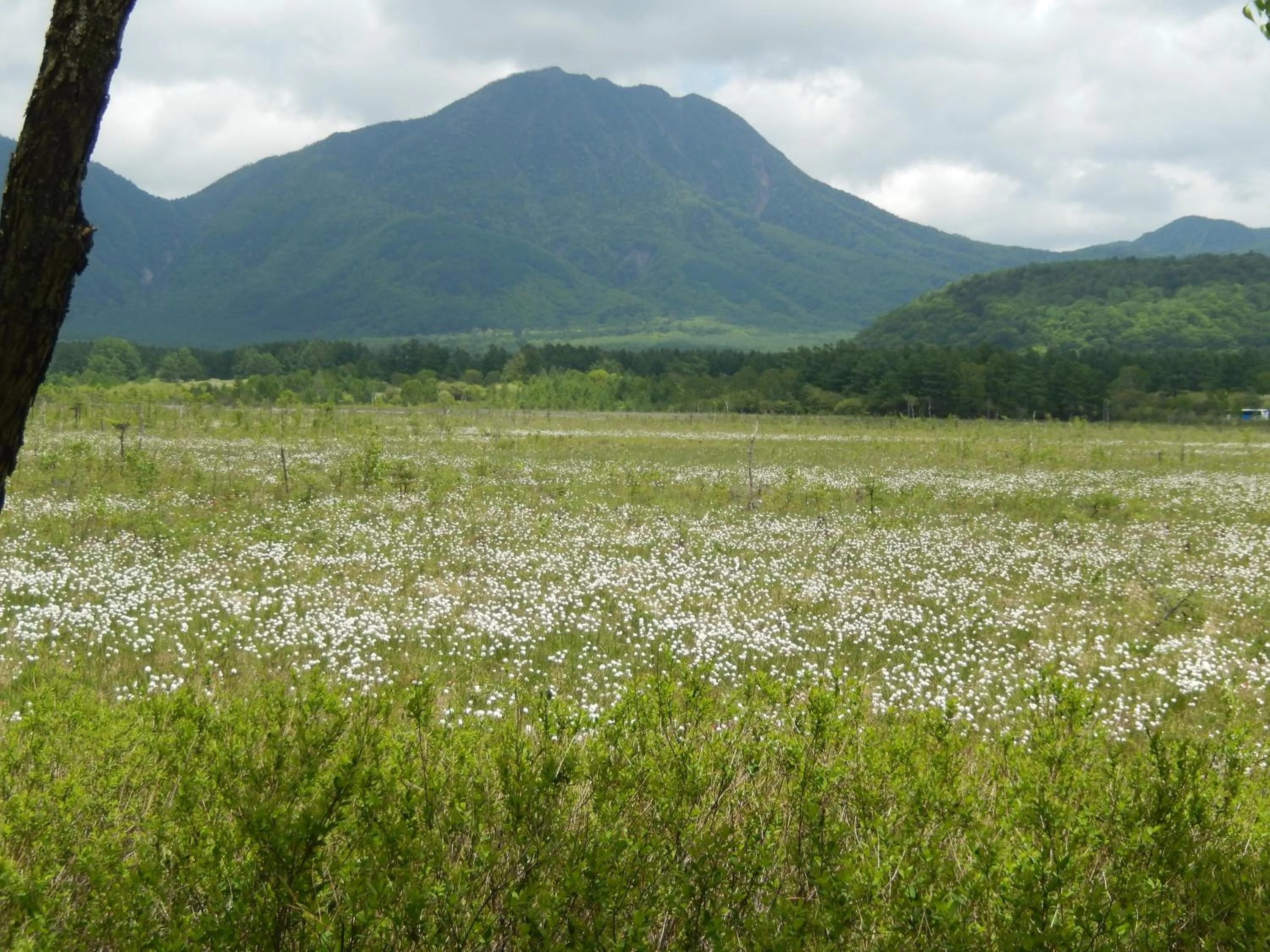 Day in Nikko Astraea Hotel