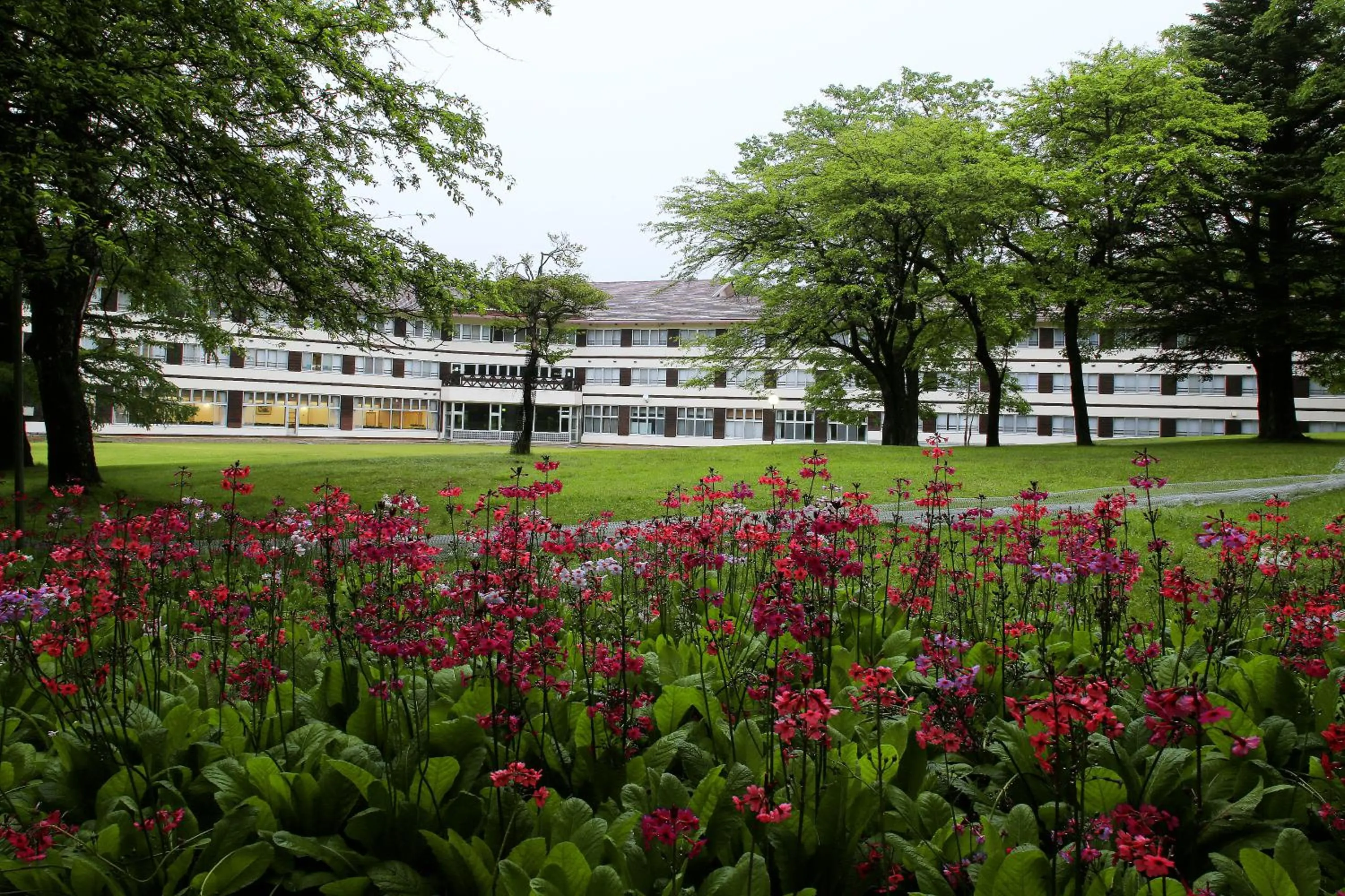 Facade/entrance in Nikko Astraea Hotel
