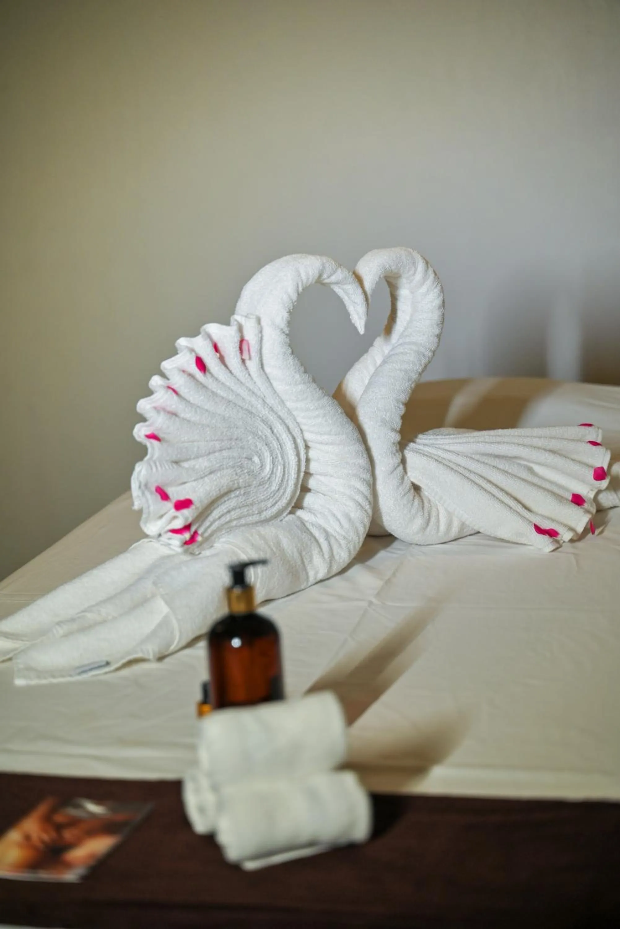 Spa and wellness centre/facilities, Bed in Orchid Passaros Benaulim Goa - Adults Only