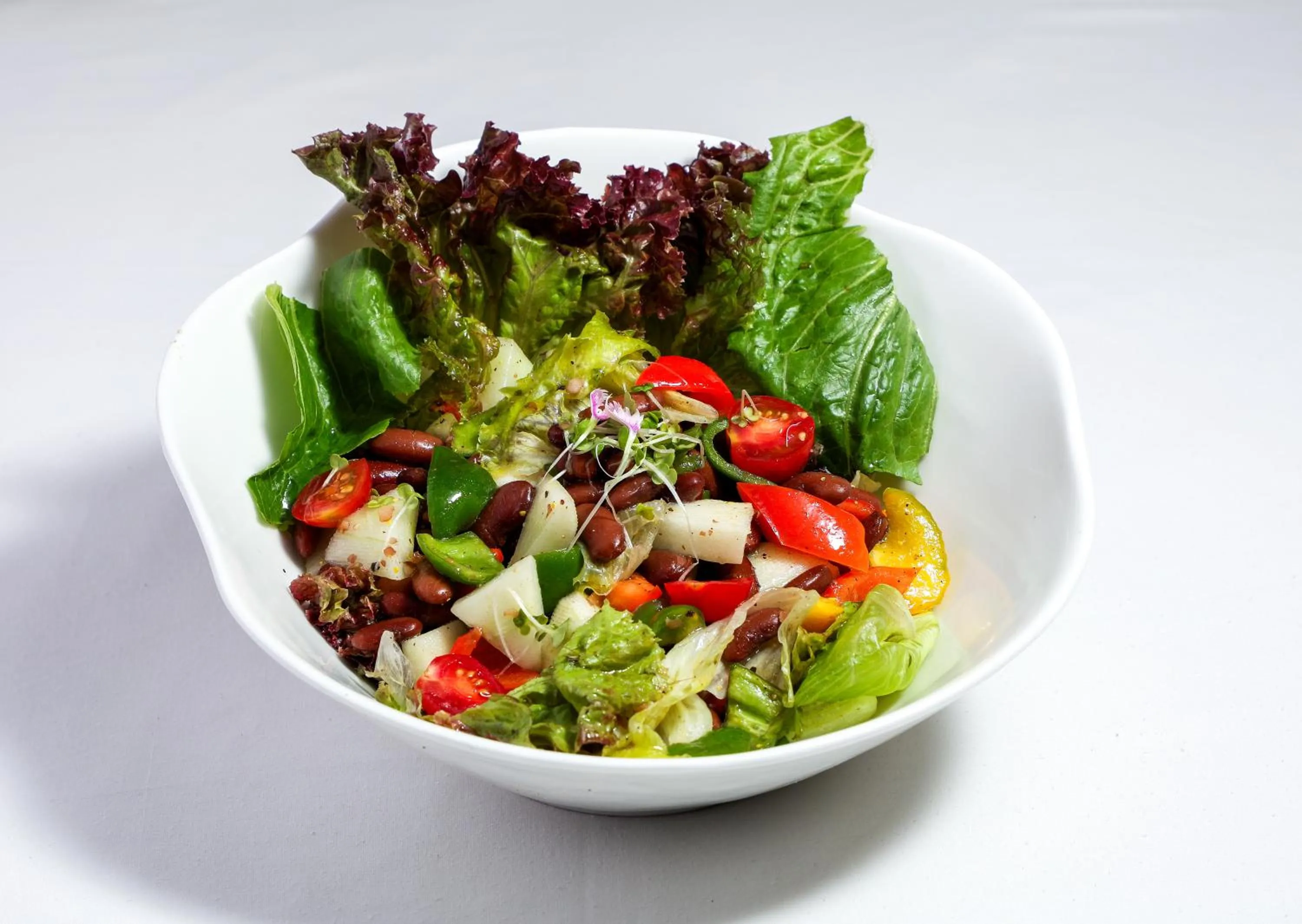 Food close-up in Orchid Passaros Benaulim Goa - Adults Only