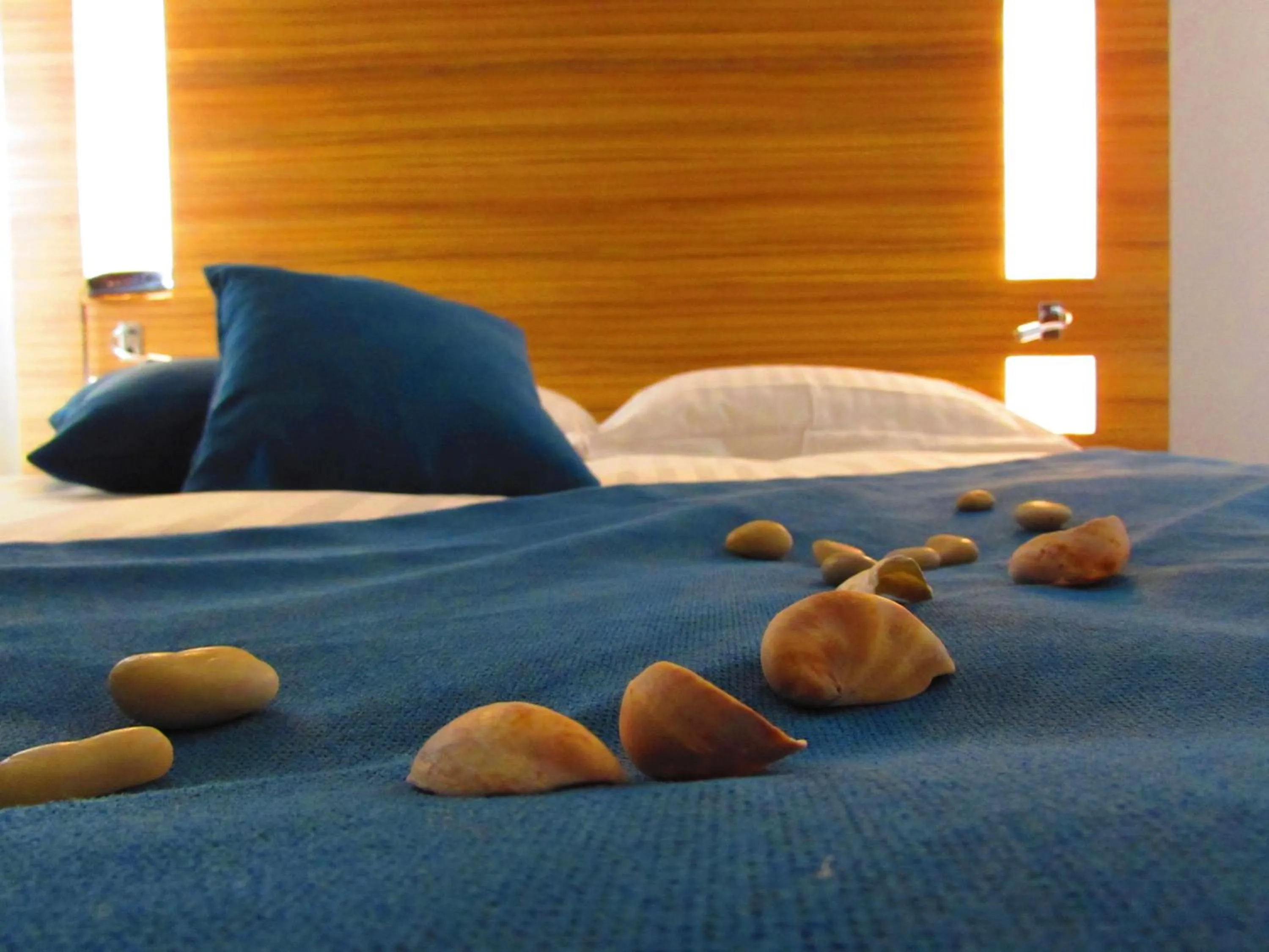 Bed in Brit Hotel & Spa Saint Brieuc Plérin