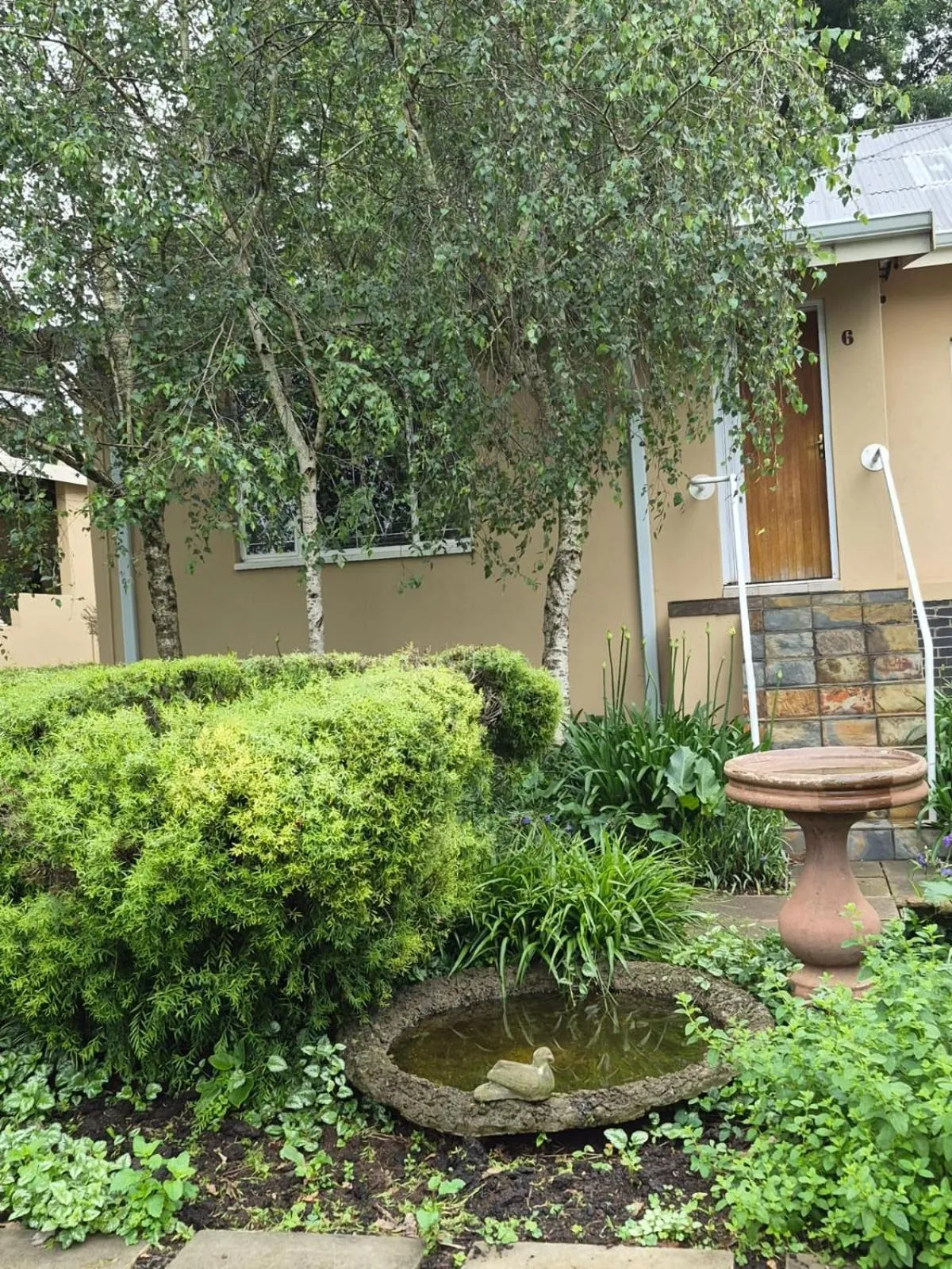 Drinkwater Guest Farm