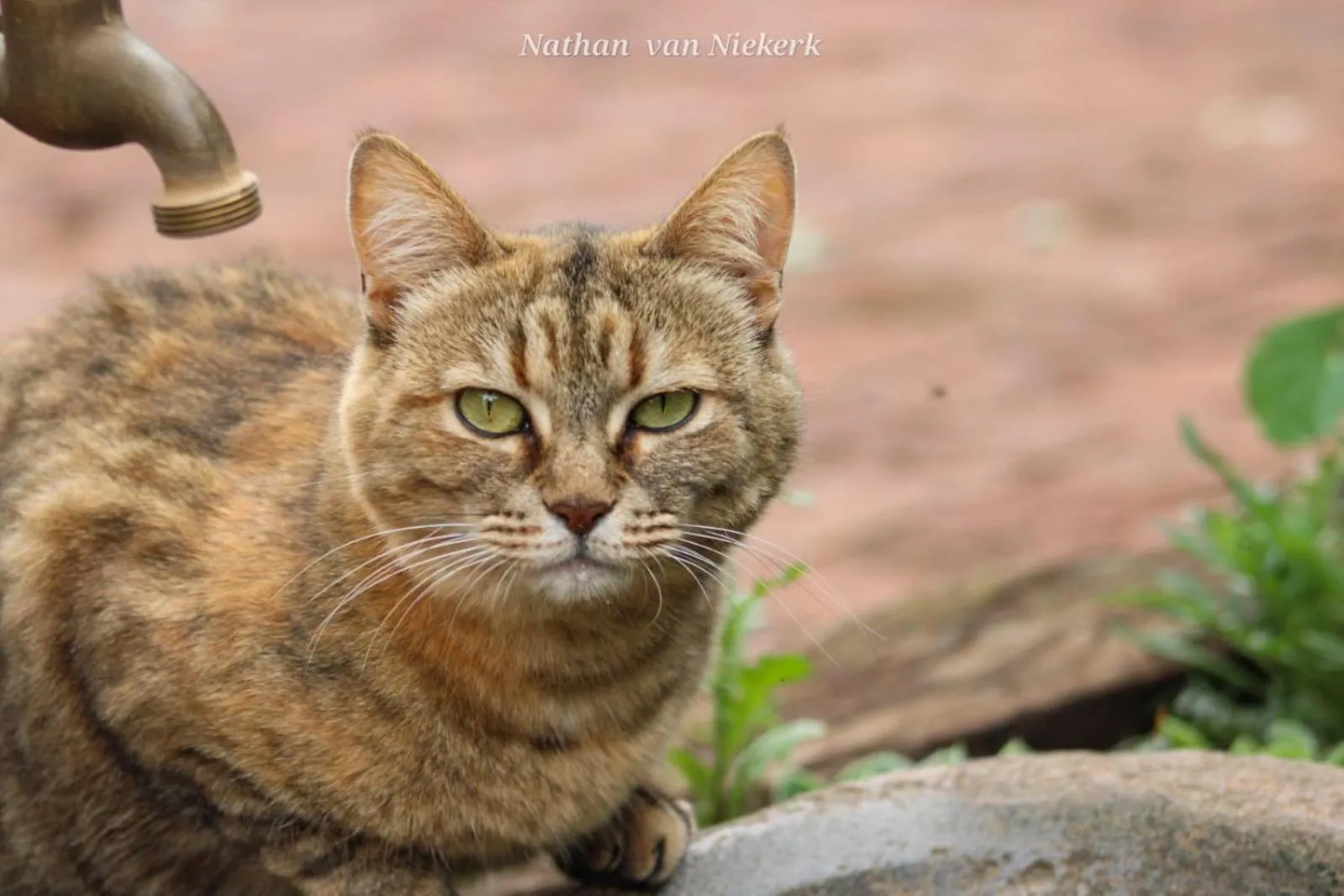 Drinkwater Guest Farm