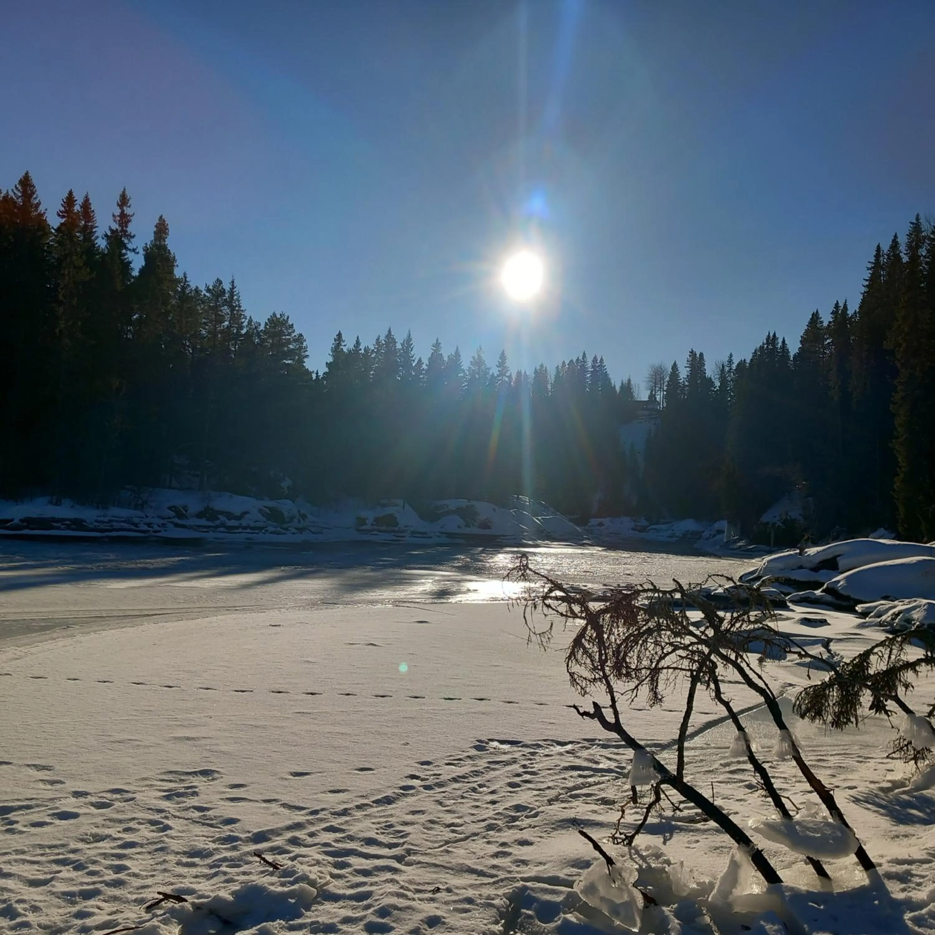 View (from property/room) in Ristafallets Camping