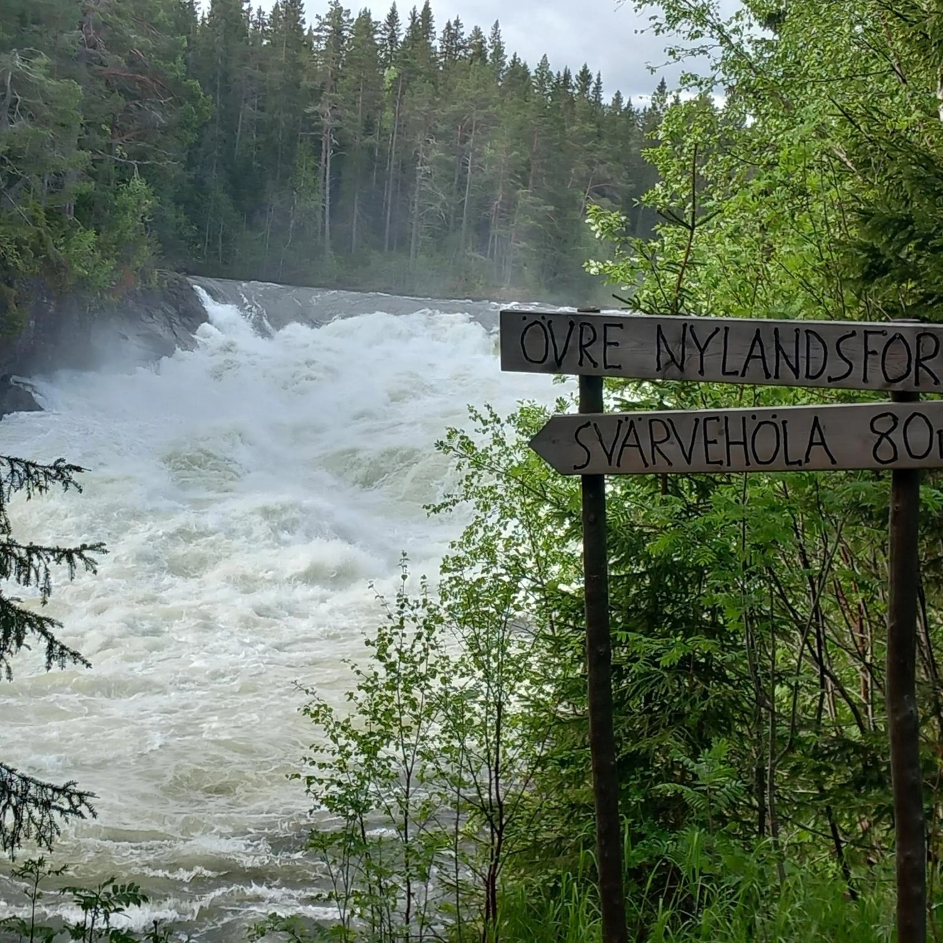 View (from property/room) in Ristafallets Camping
