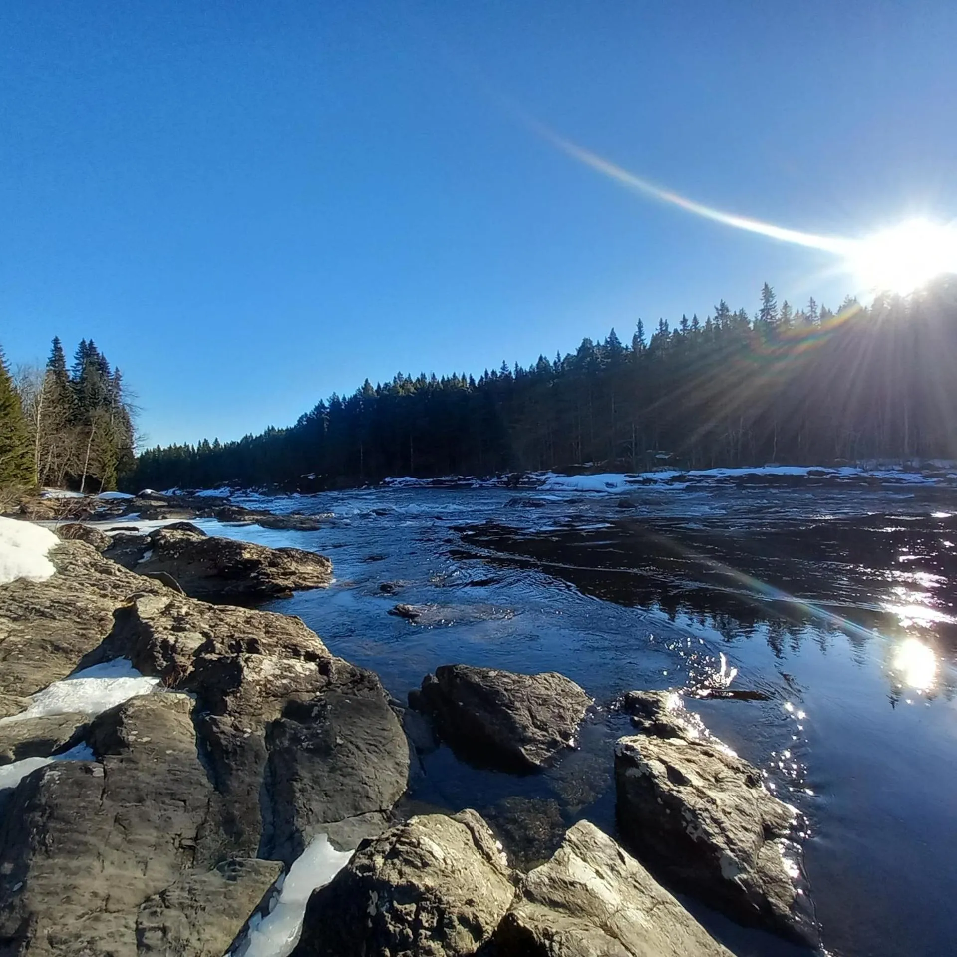 View (from property/room) in Ristafallets Camping