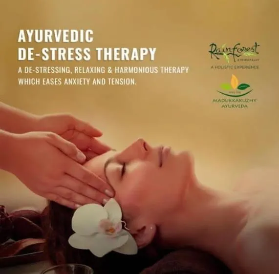 Spa and wellness centre/facilities in Rainforest Resort