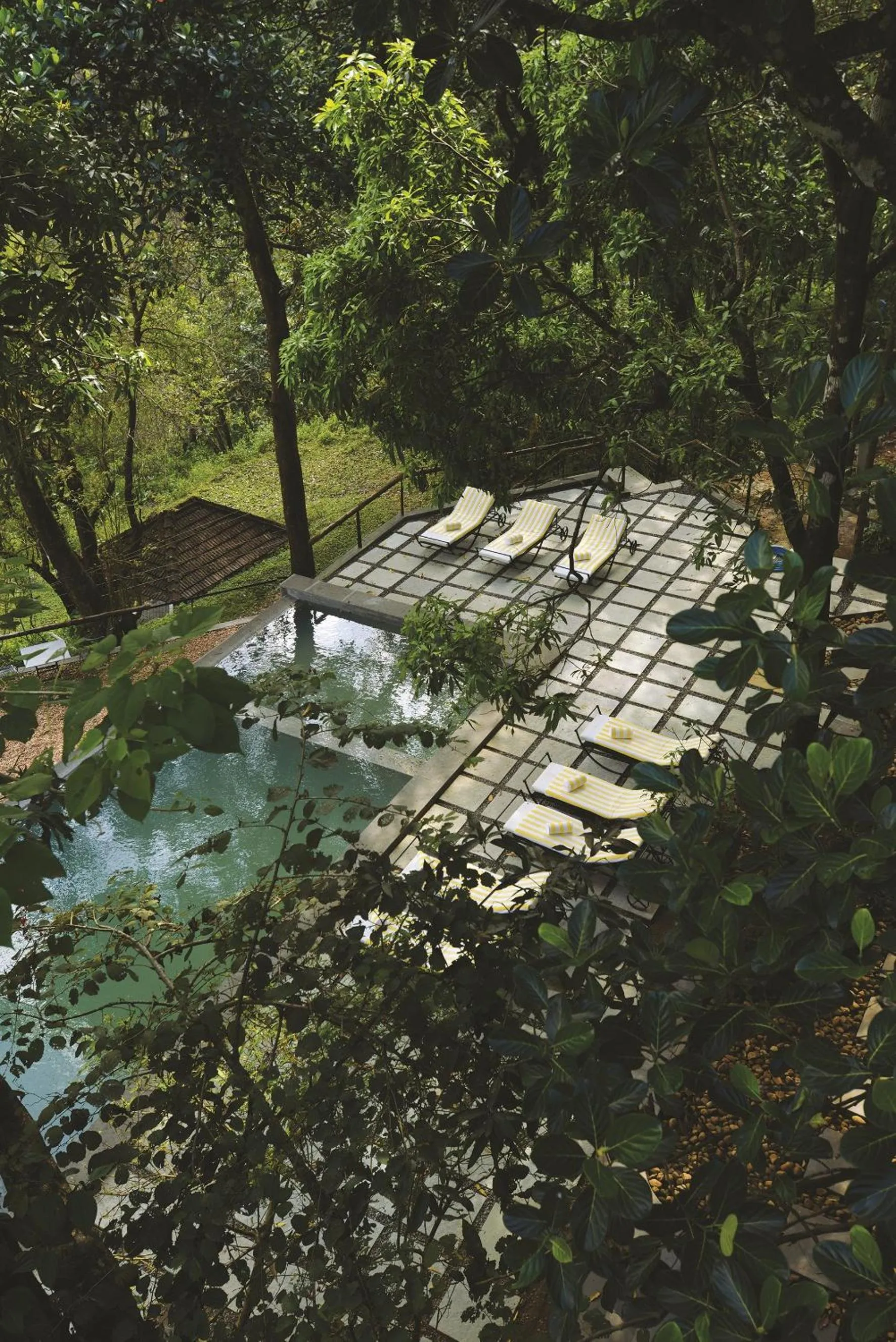 Day in Rainforest Resort