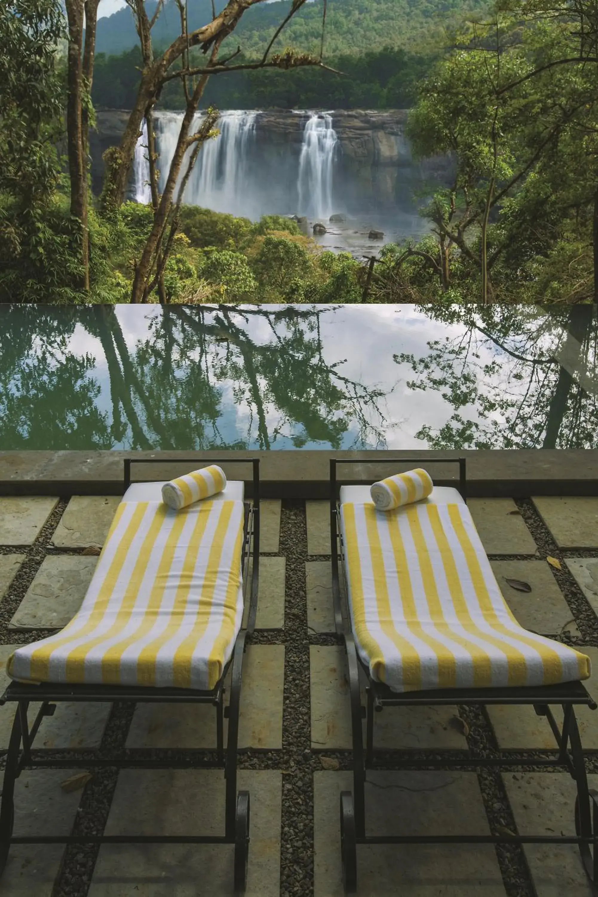 Landmark view in Rainforest Resort Landmark view in Rainforest Resort