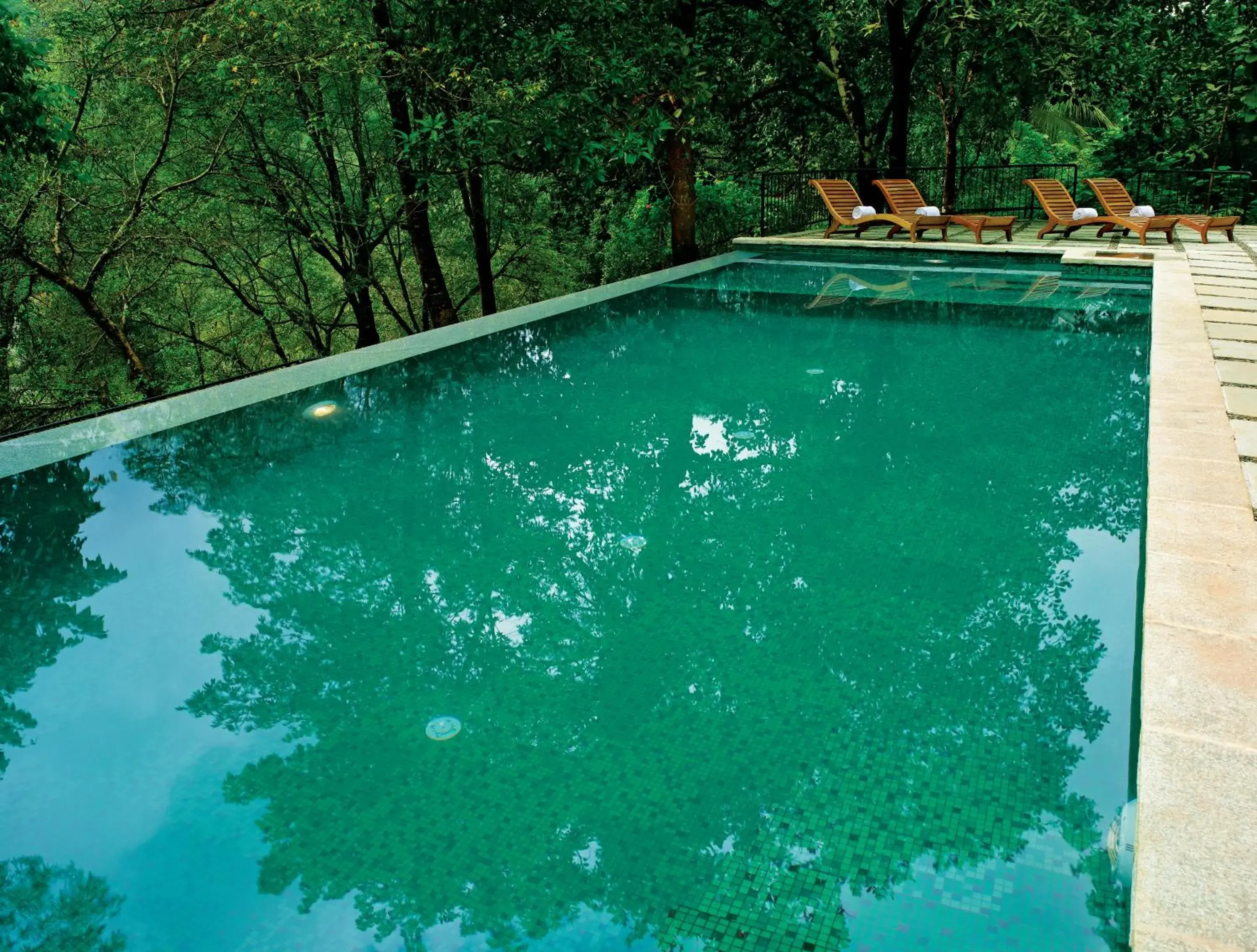 Swimming pool in Rainforest Resort Swimming pool in Rainforest Resort