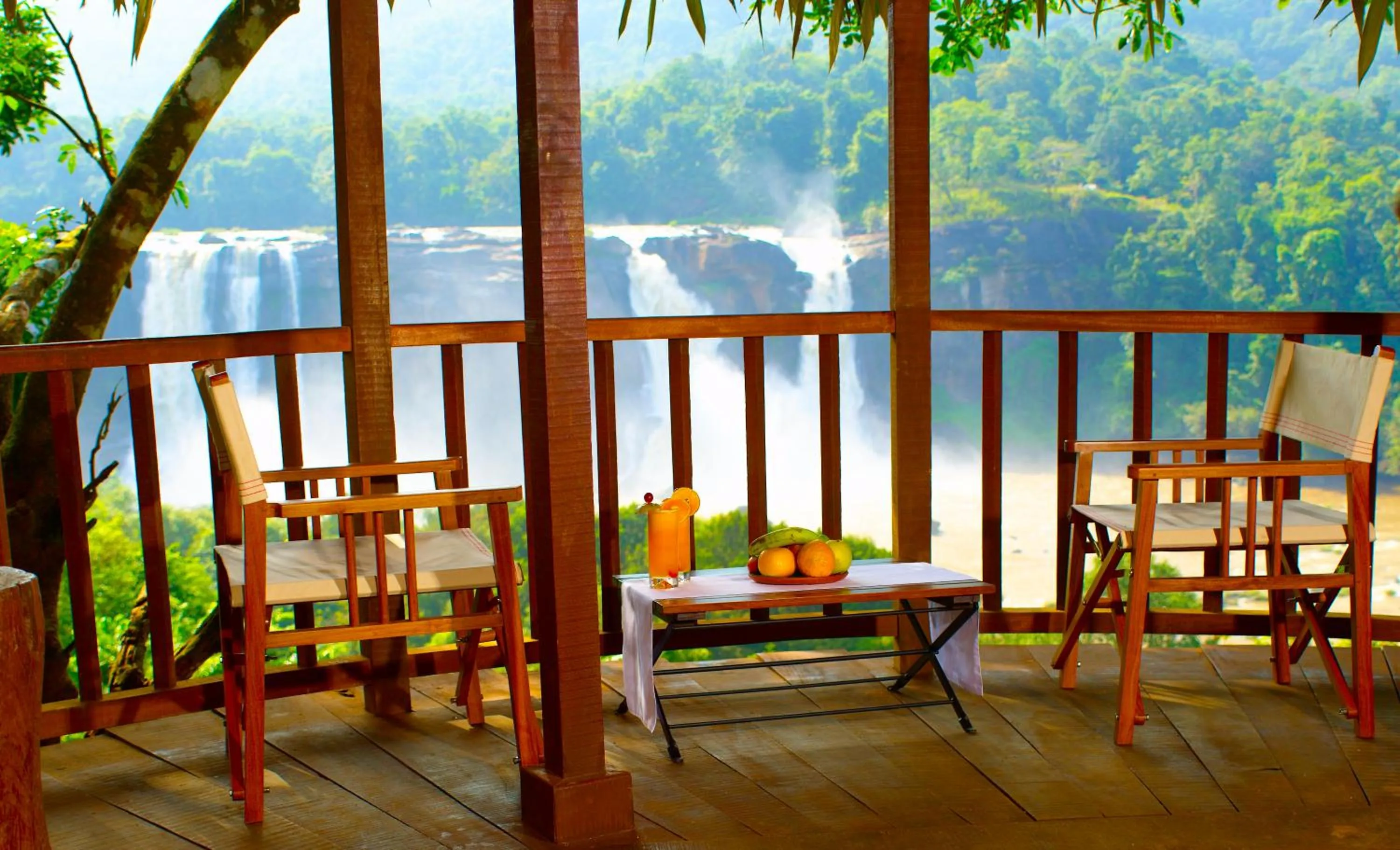 Balcony/Terrace in Rainforest Resort