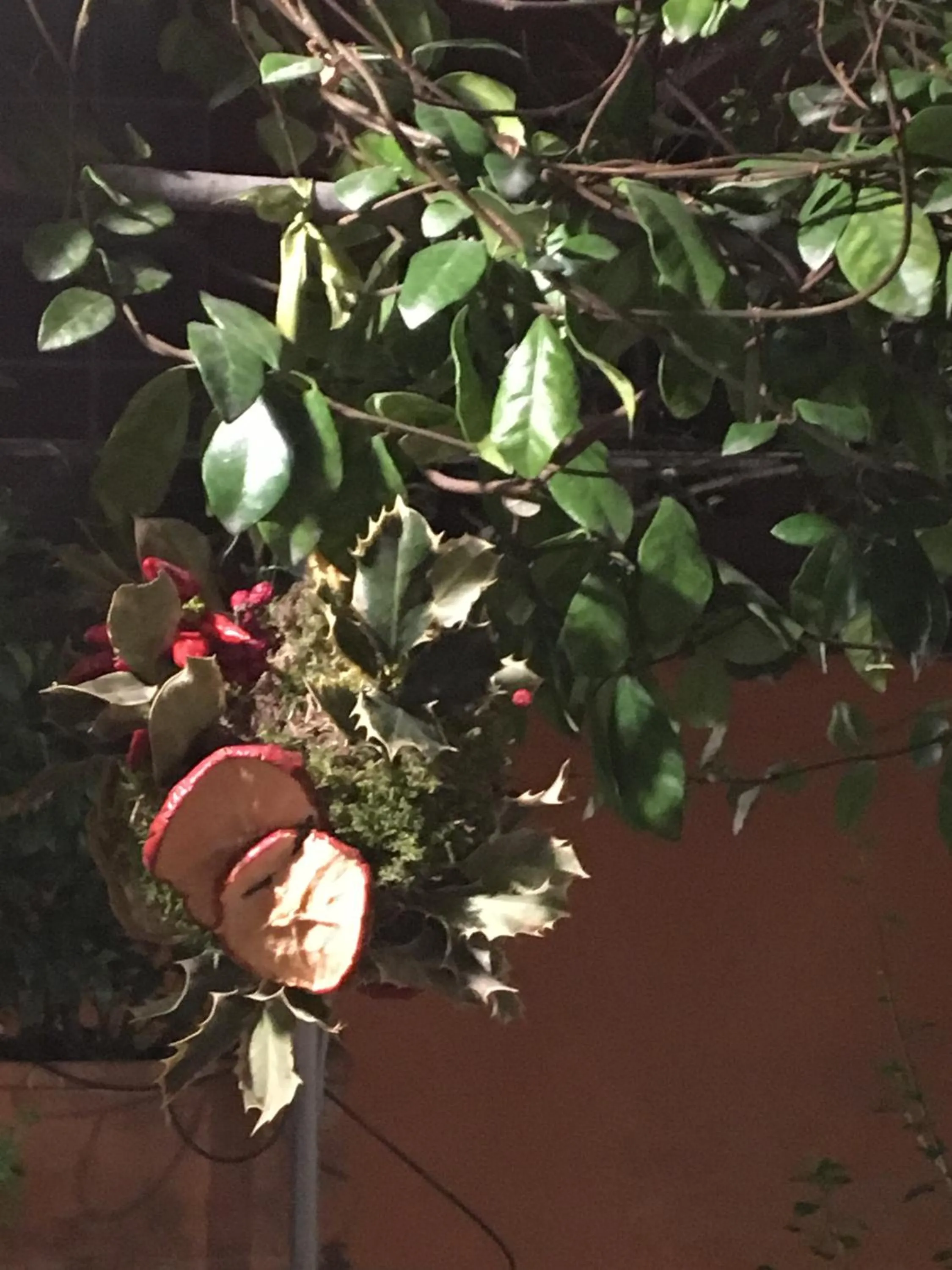 Decorative detail in Viadelloca35