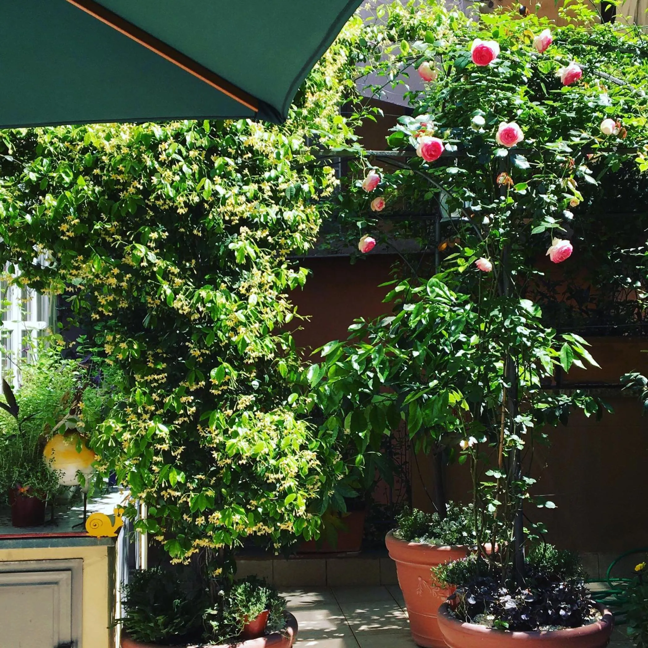 Garden view in Viadelloca35