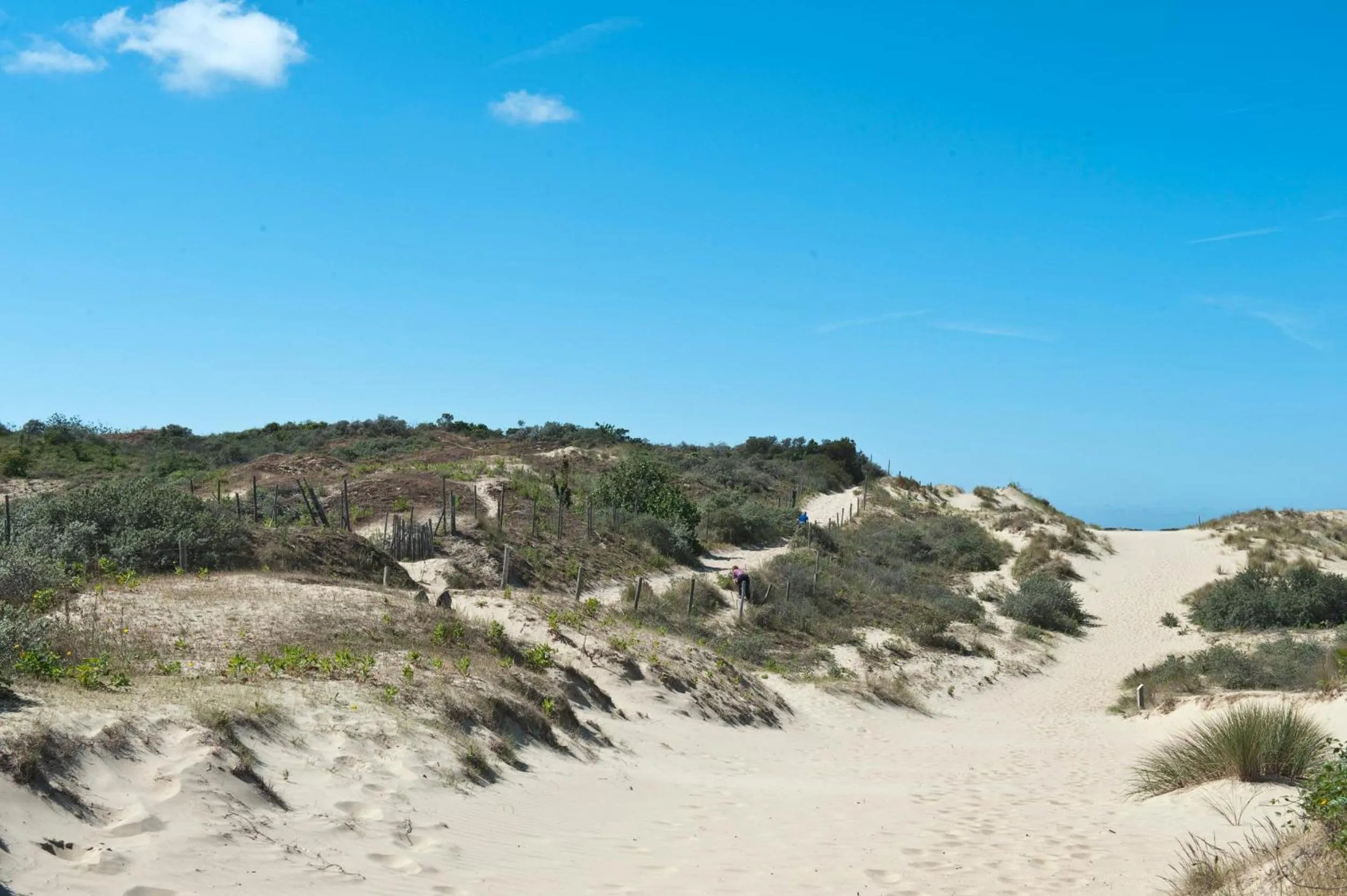 Natural landscape in Evancy Etoile Des Dunes
