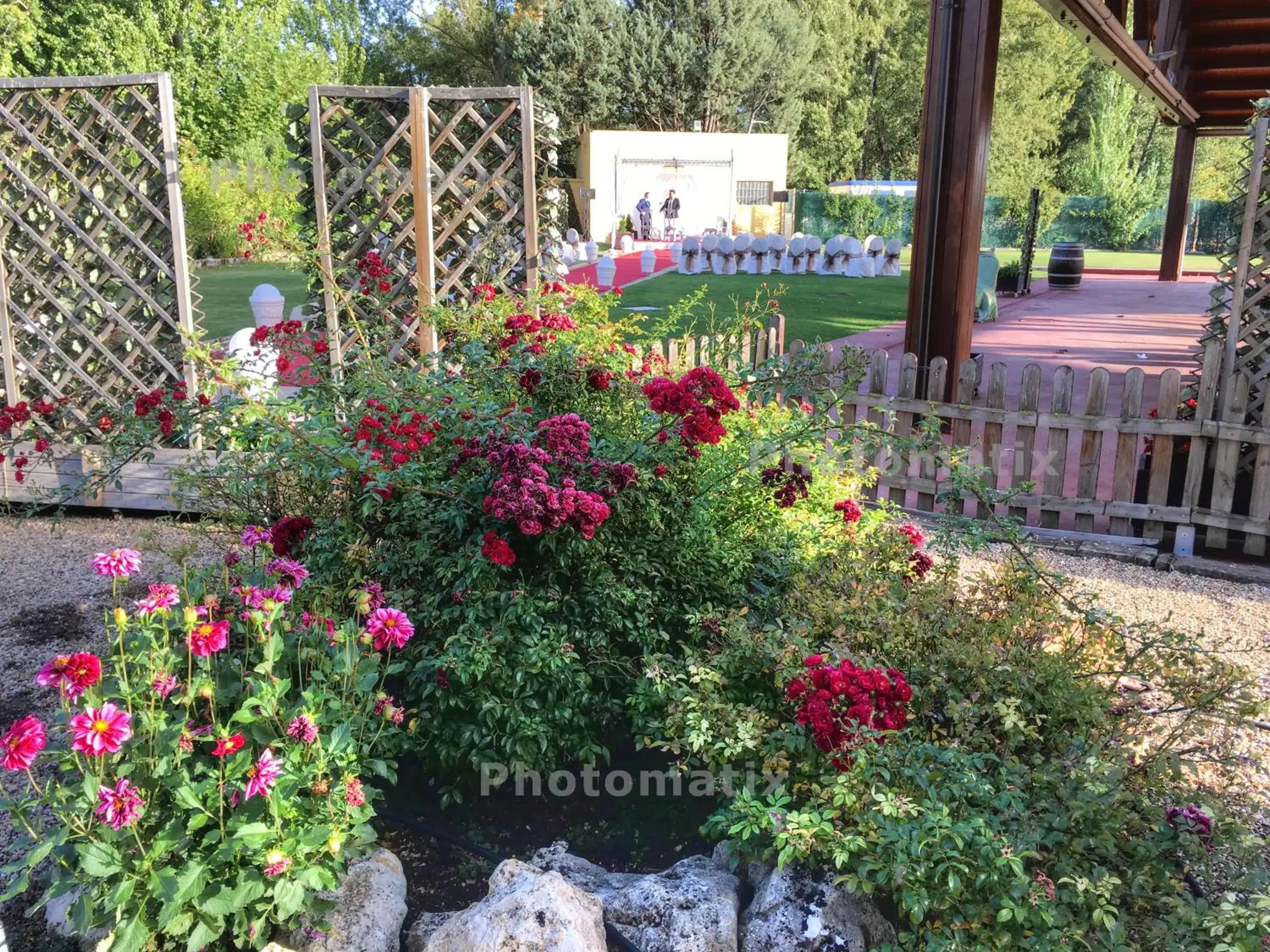 Restaurant/places to eat in Rey Sancho Palencia Restaurant/places to eat in Rey Sancho Palencia