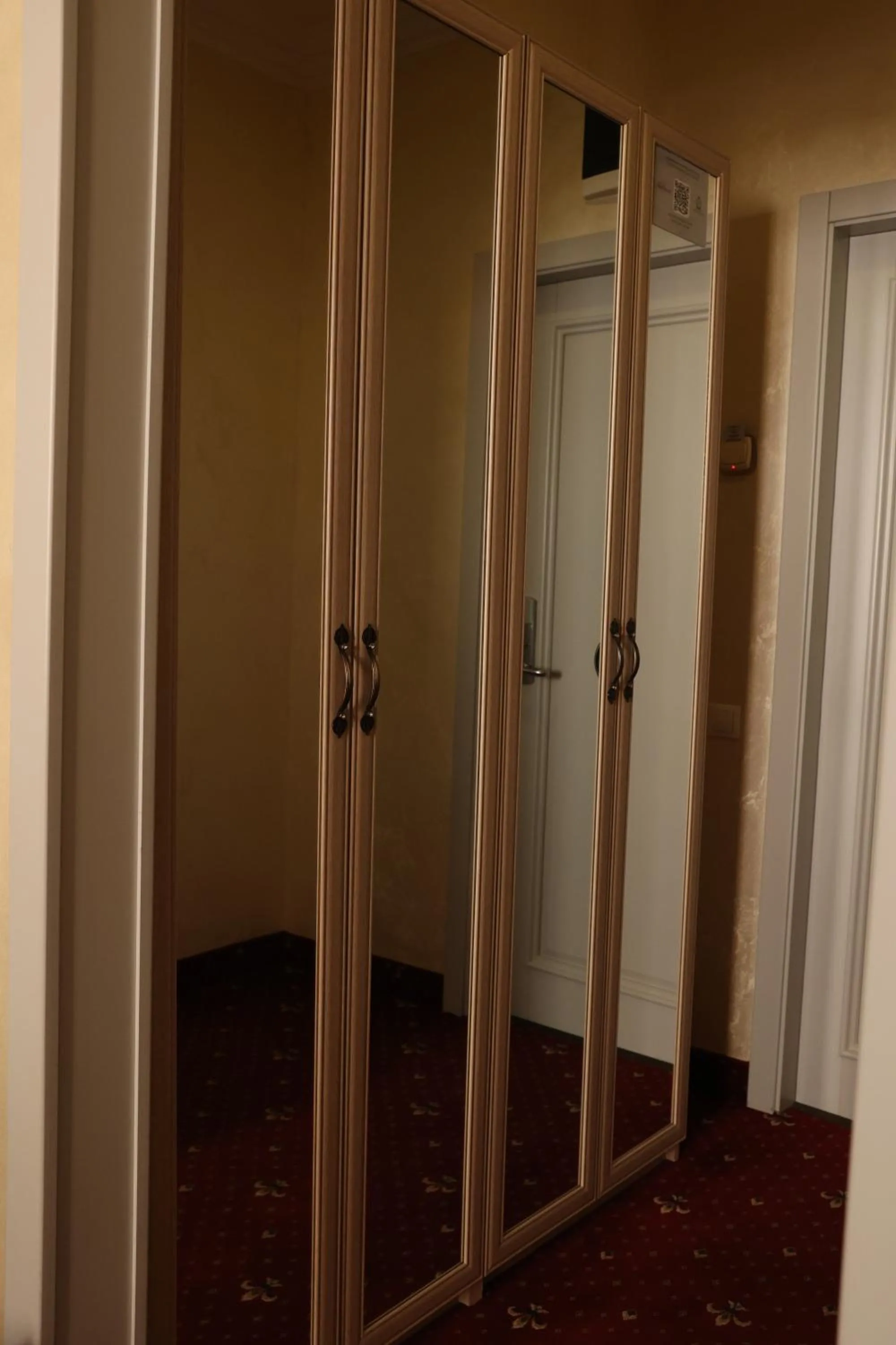 wardrobe in Hotel France