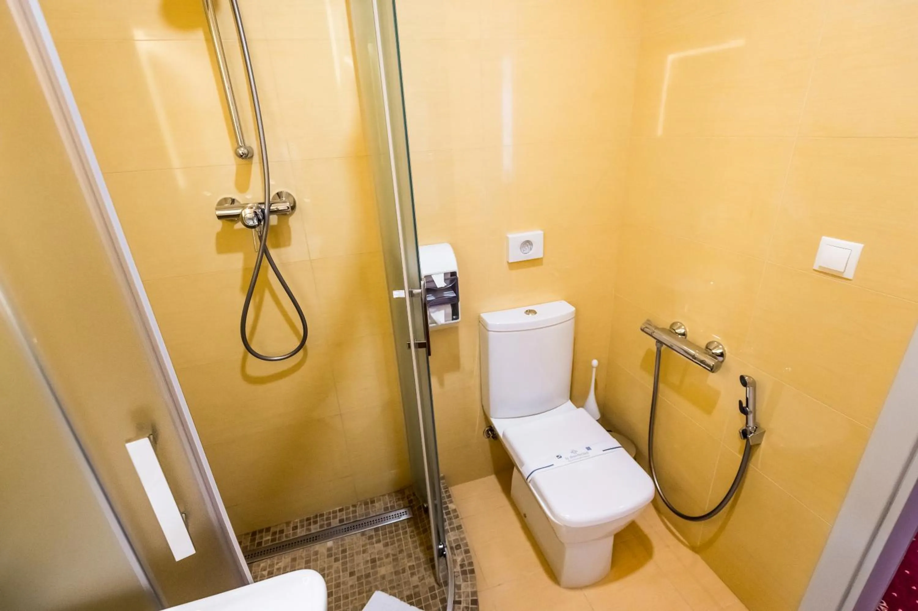 Shower in Hotel France