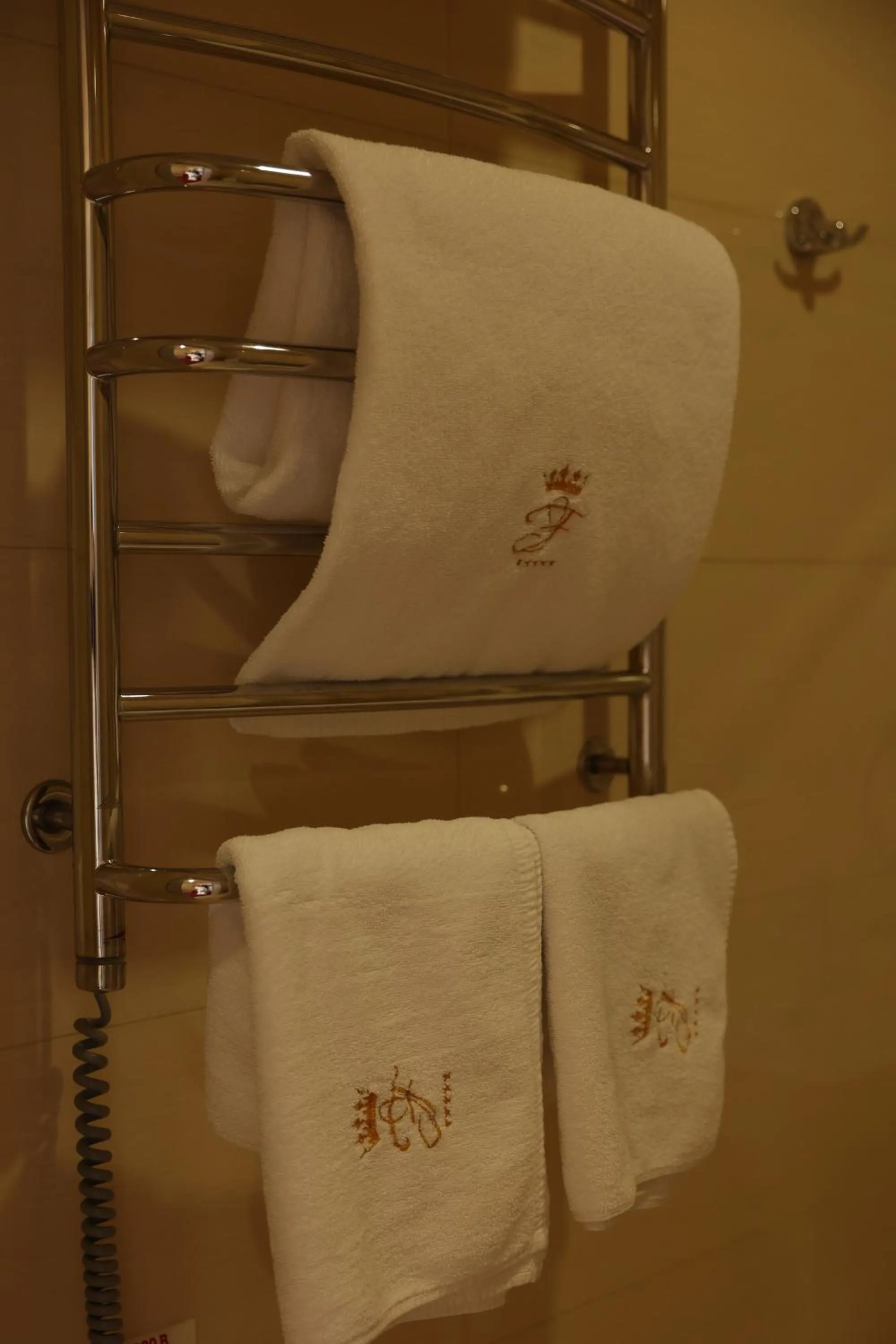 towels in Hotel France