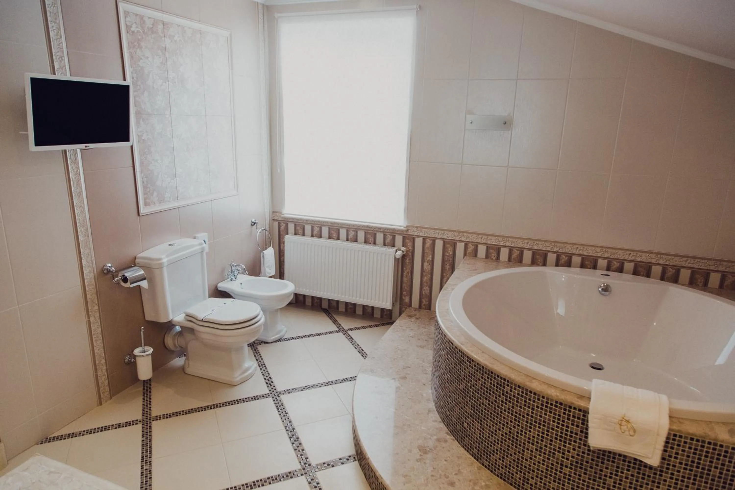 Toilet in Hotel France