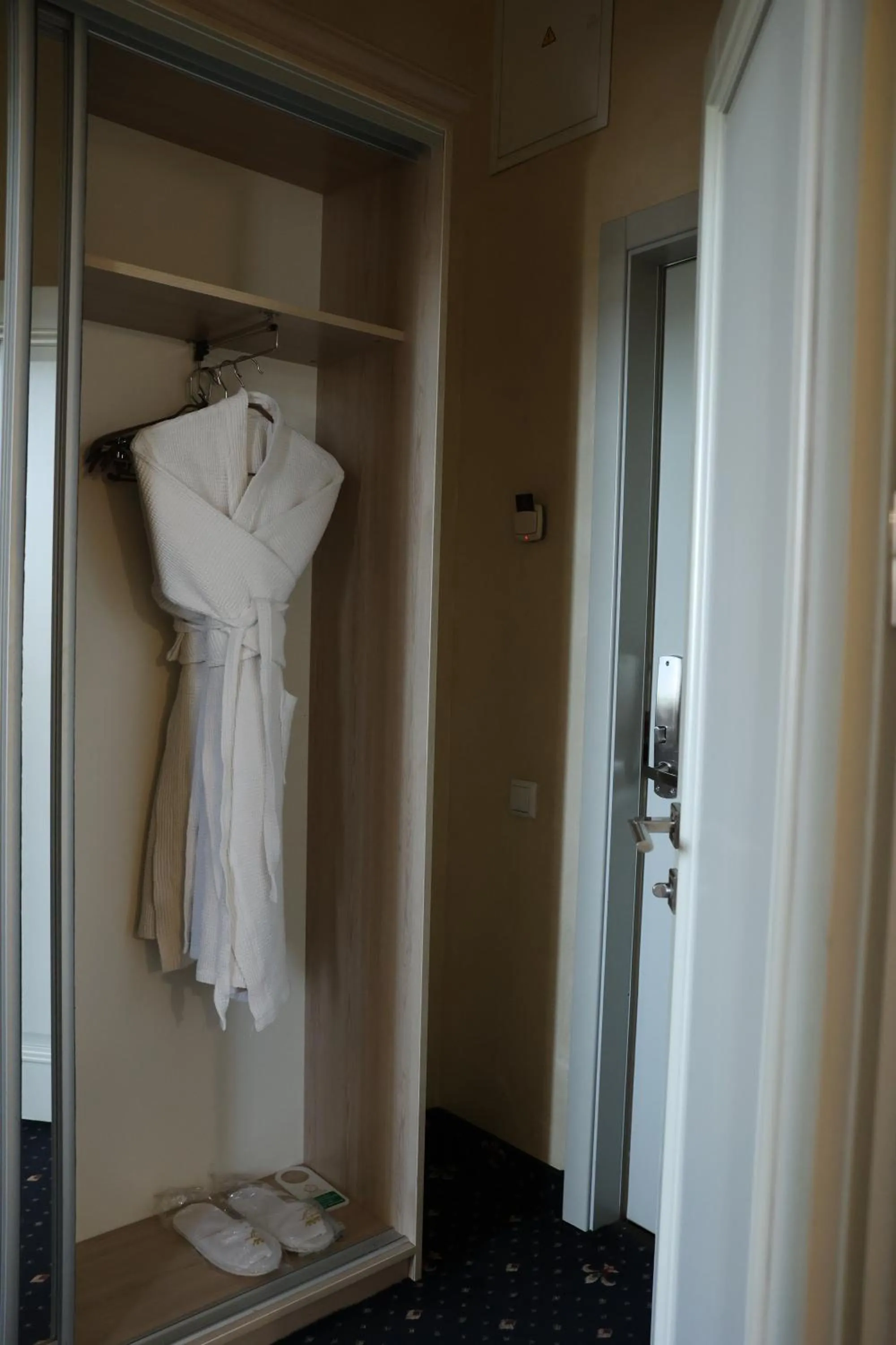 wardrobe in Hotel France