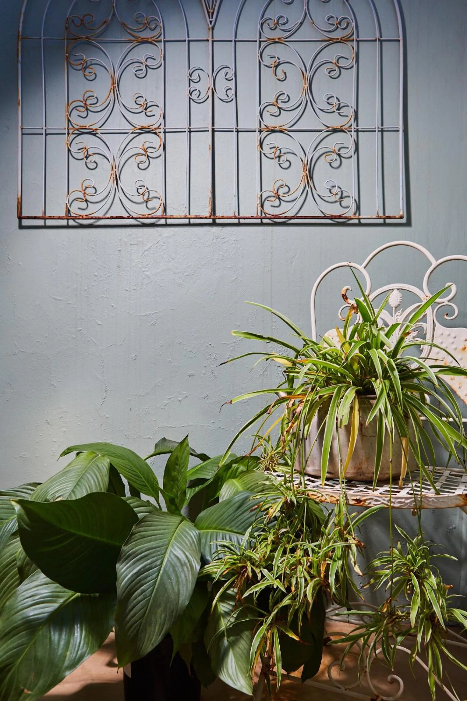 Tamarisk Bed & Breakfast