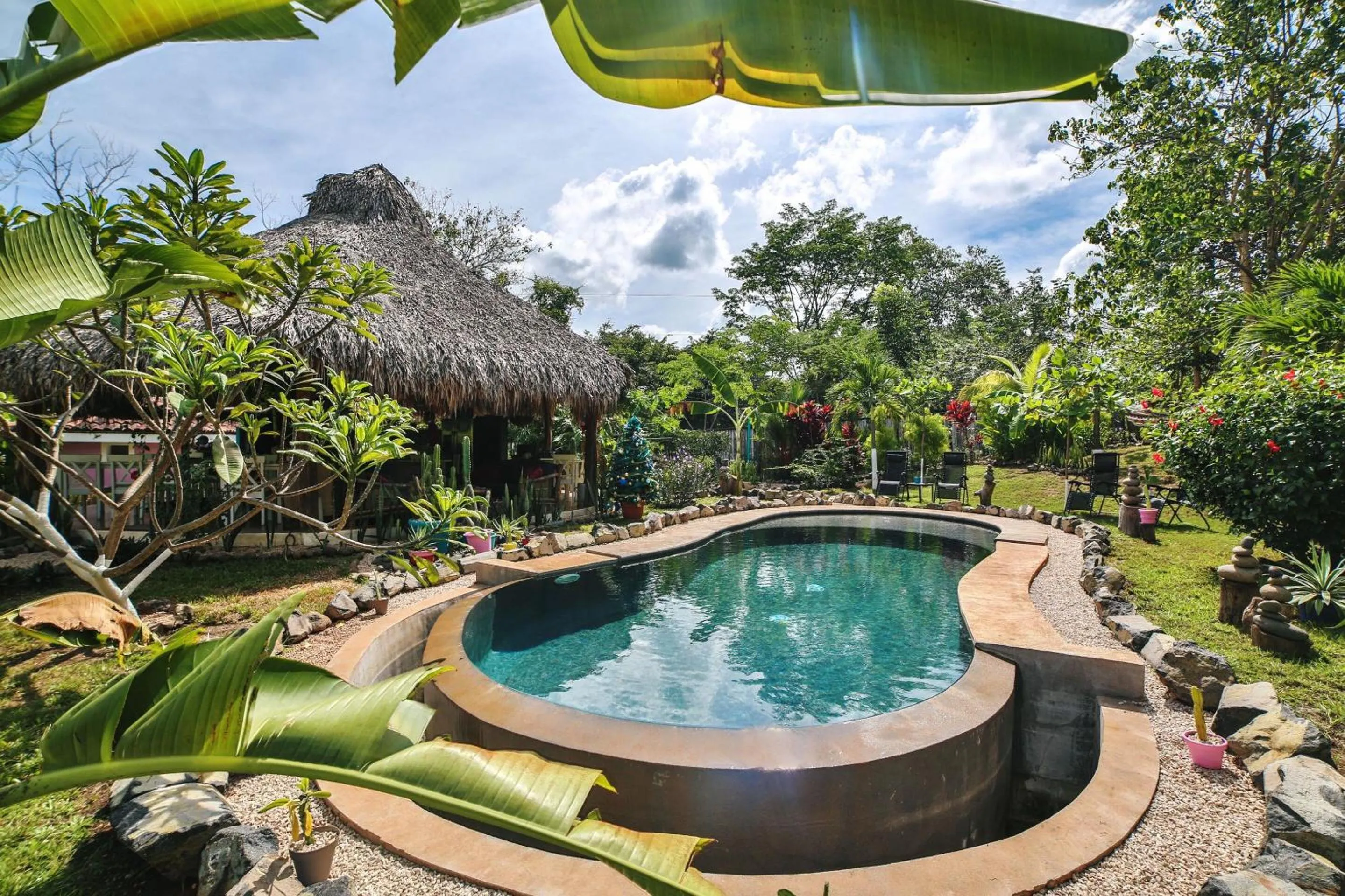 Pool view in Flor y Bambu