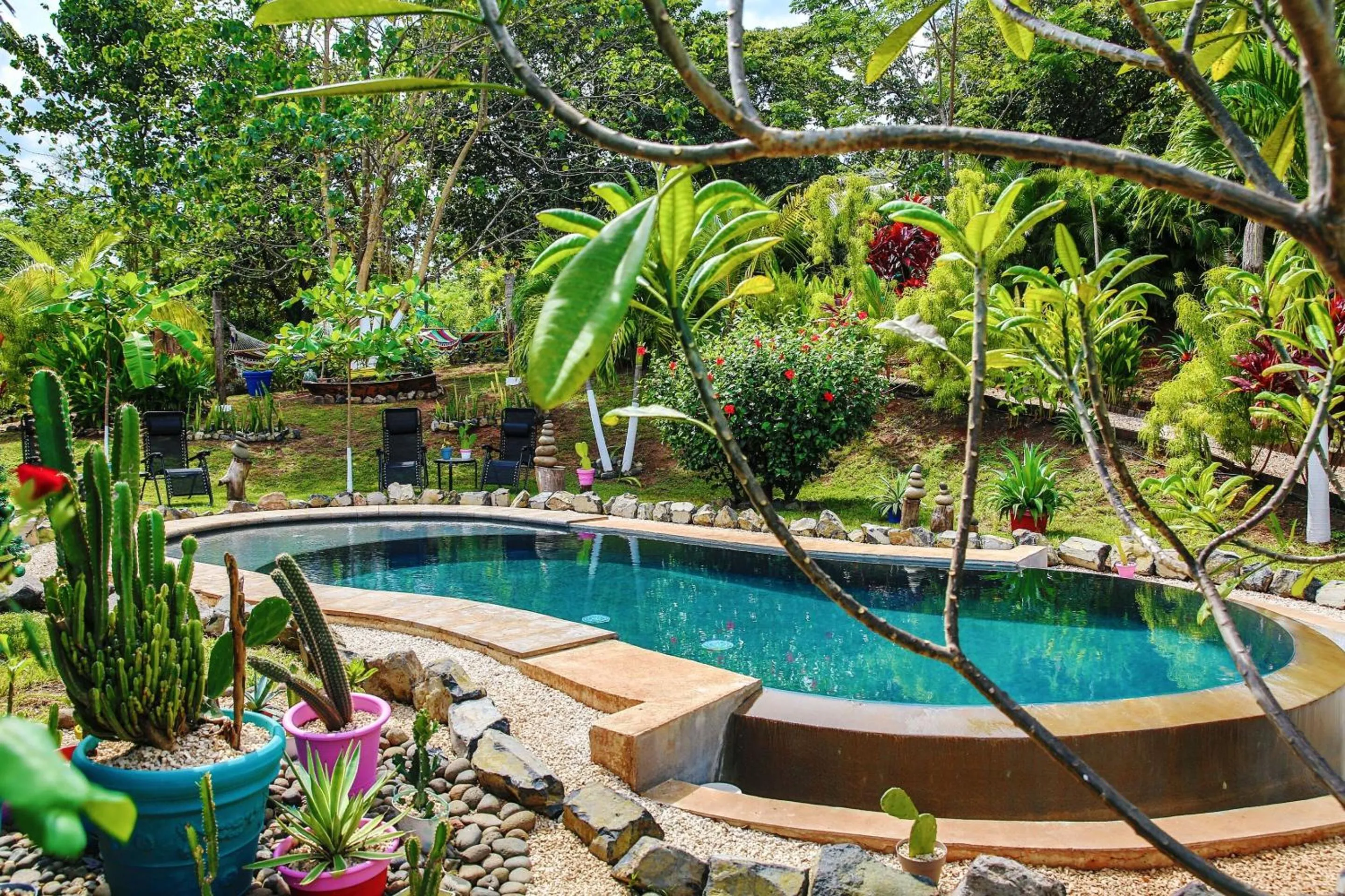 Pool view in Flor y Bambu
