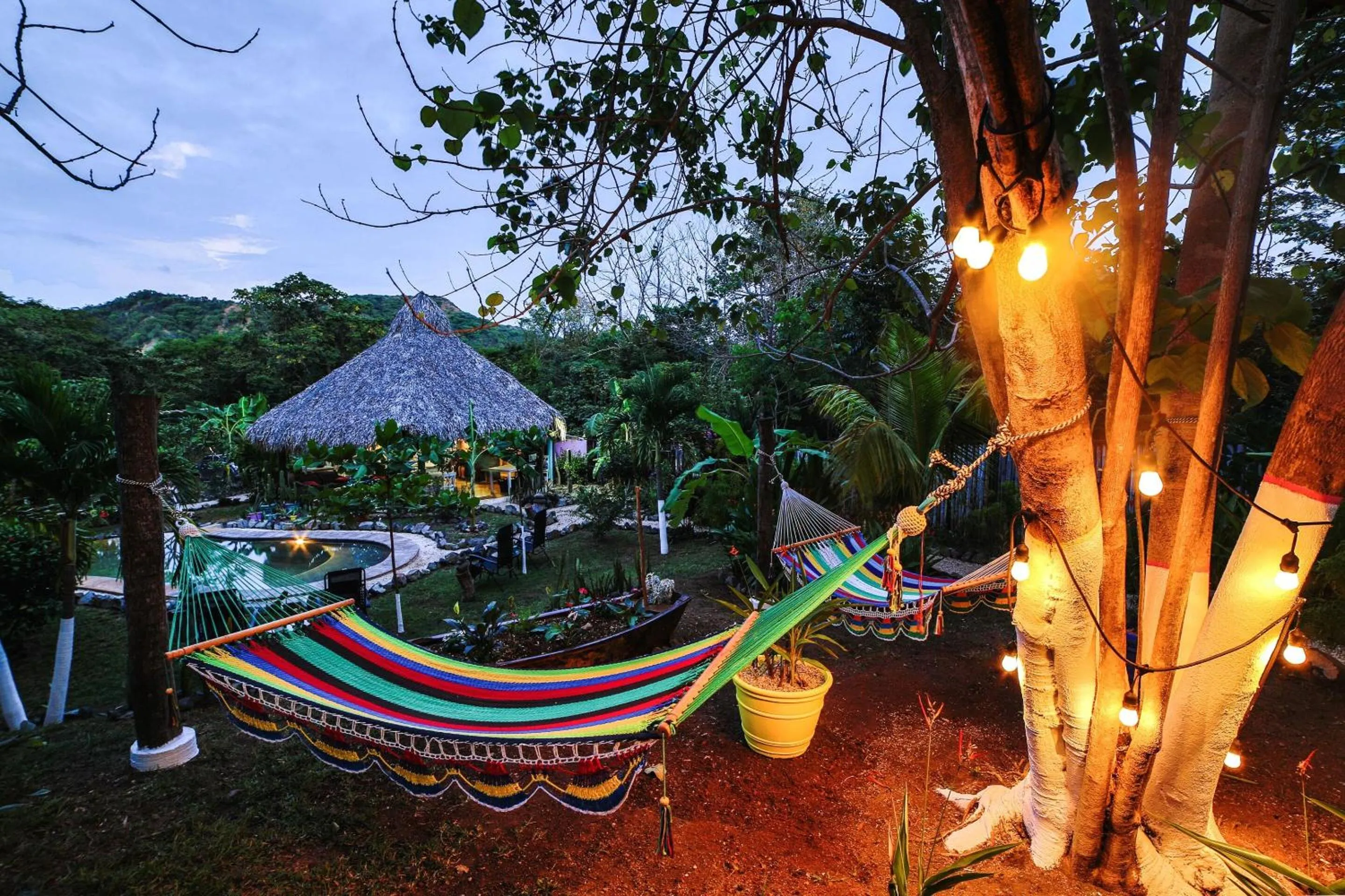 Pool view in Flor y Bambu