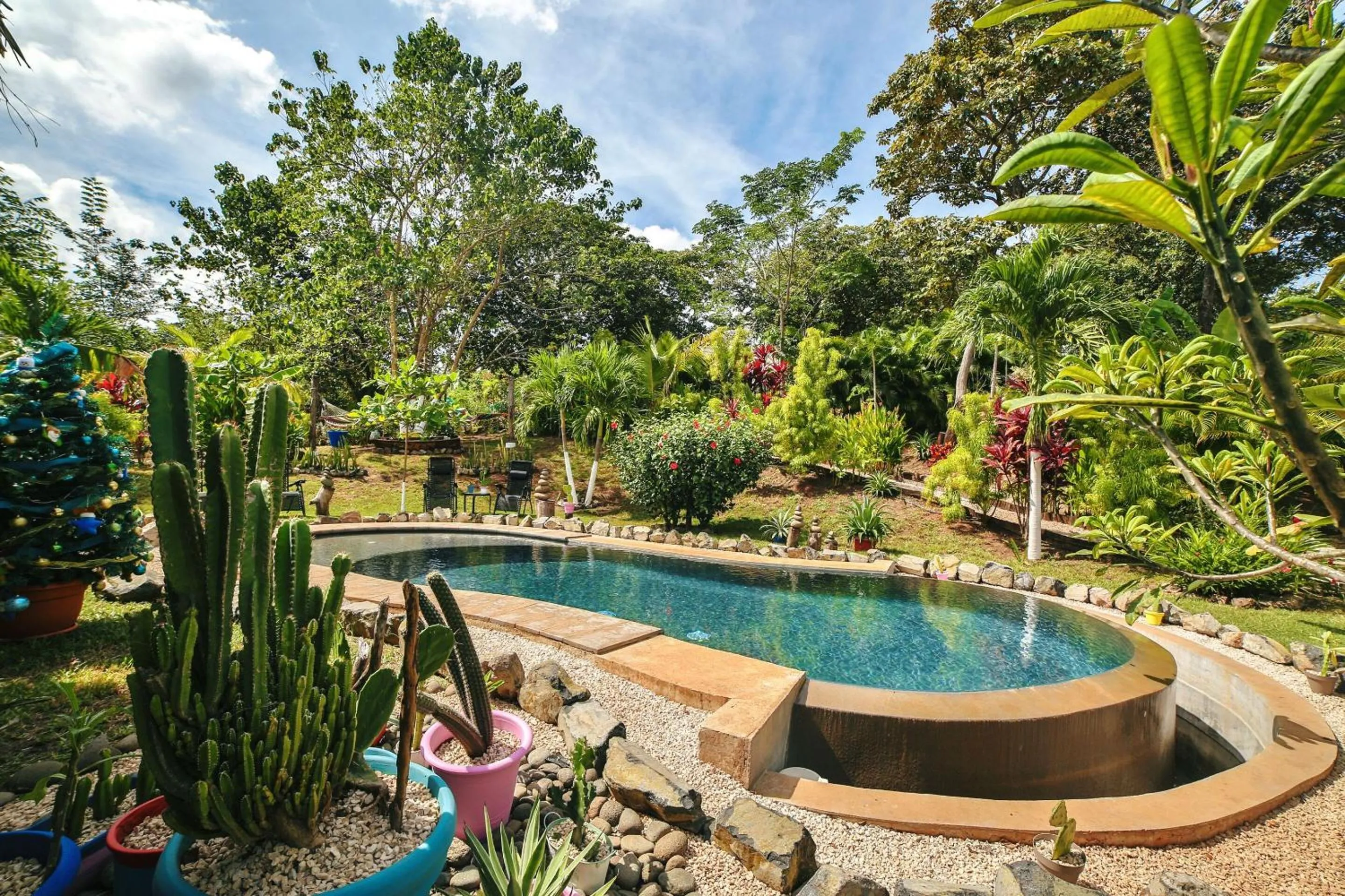 Pool view in Flor y Bambu