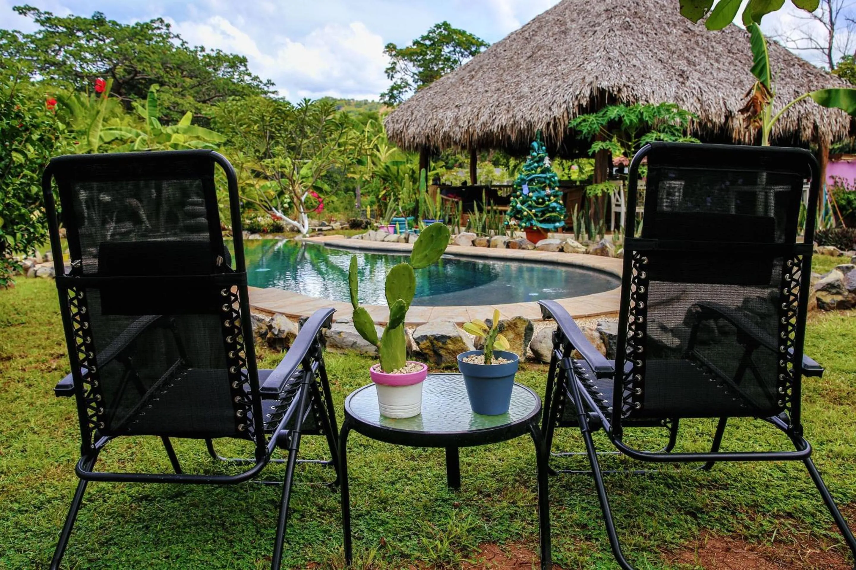 Pool view in Flor y Bambu