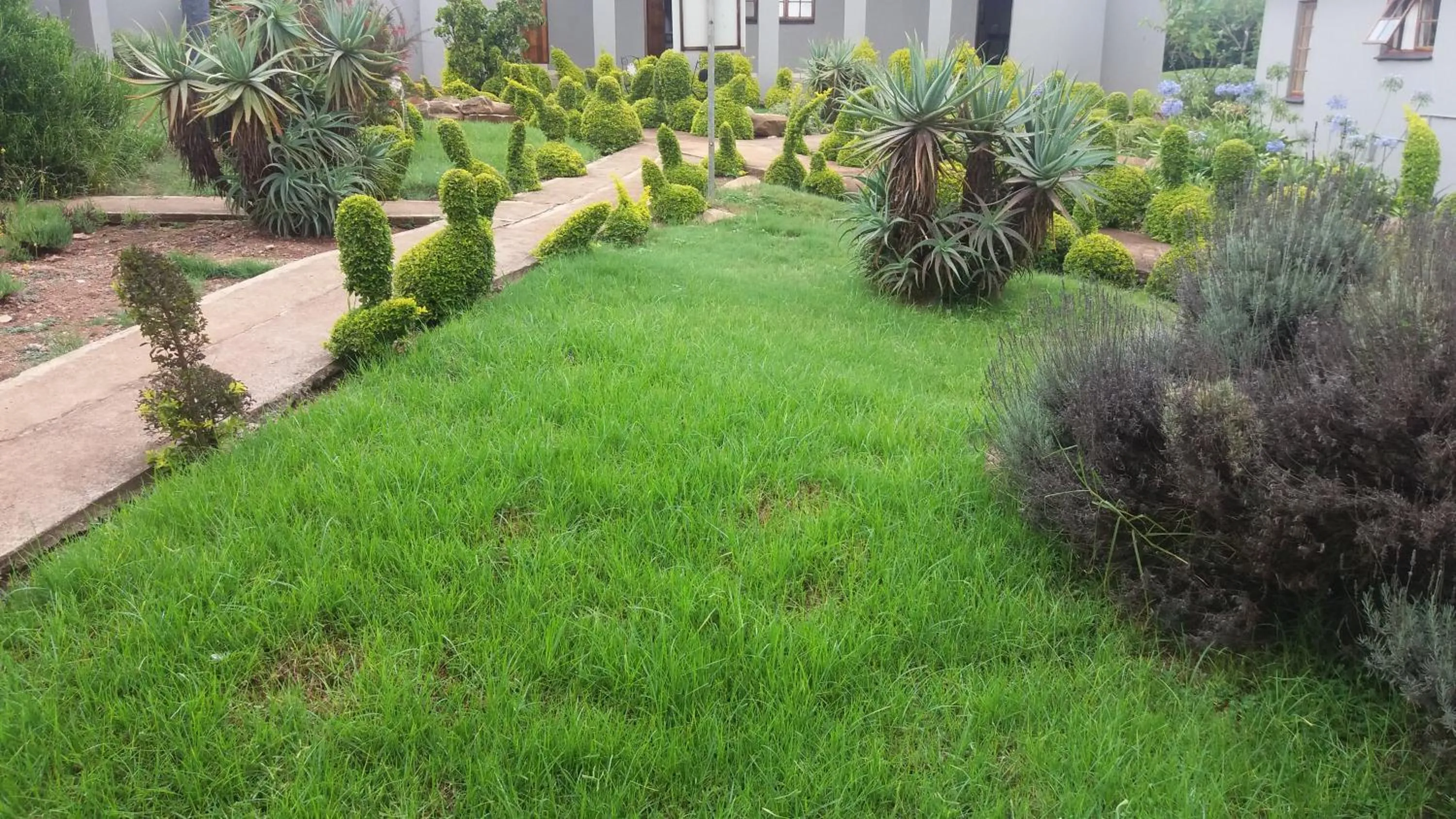 Garden in Nongoma Lodge & Inn CC