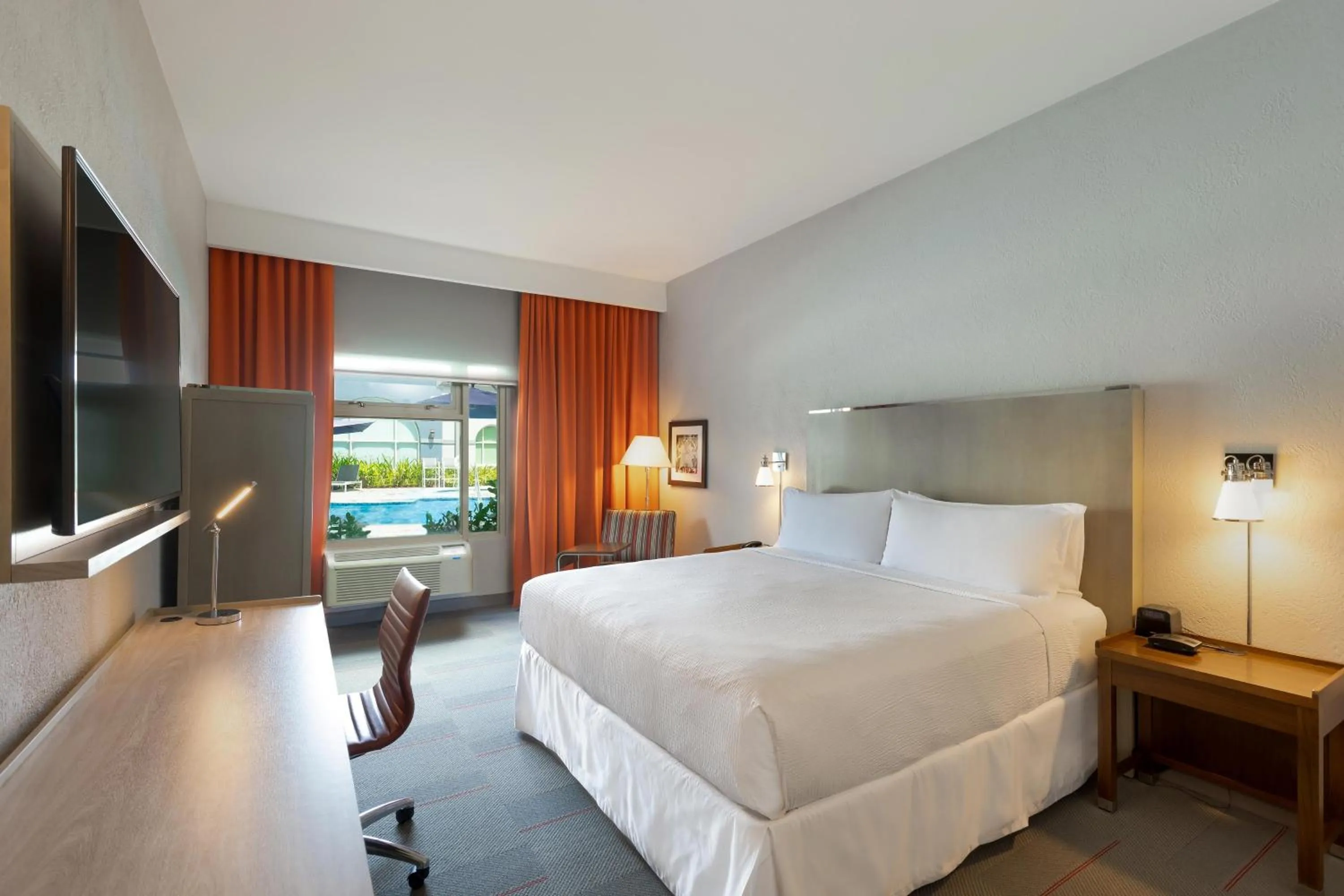Photo of the whole room, Bed in Four Points by Sheraton Caguas Real