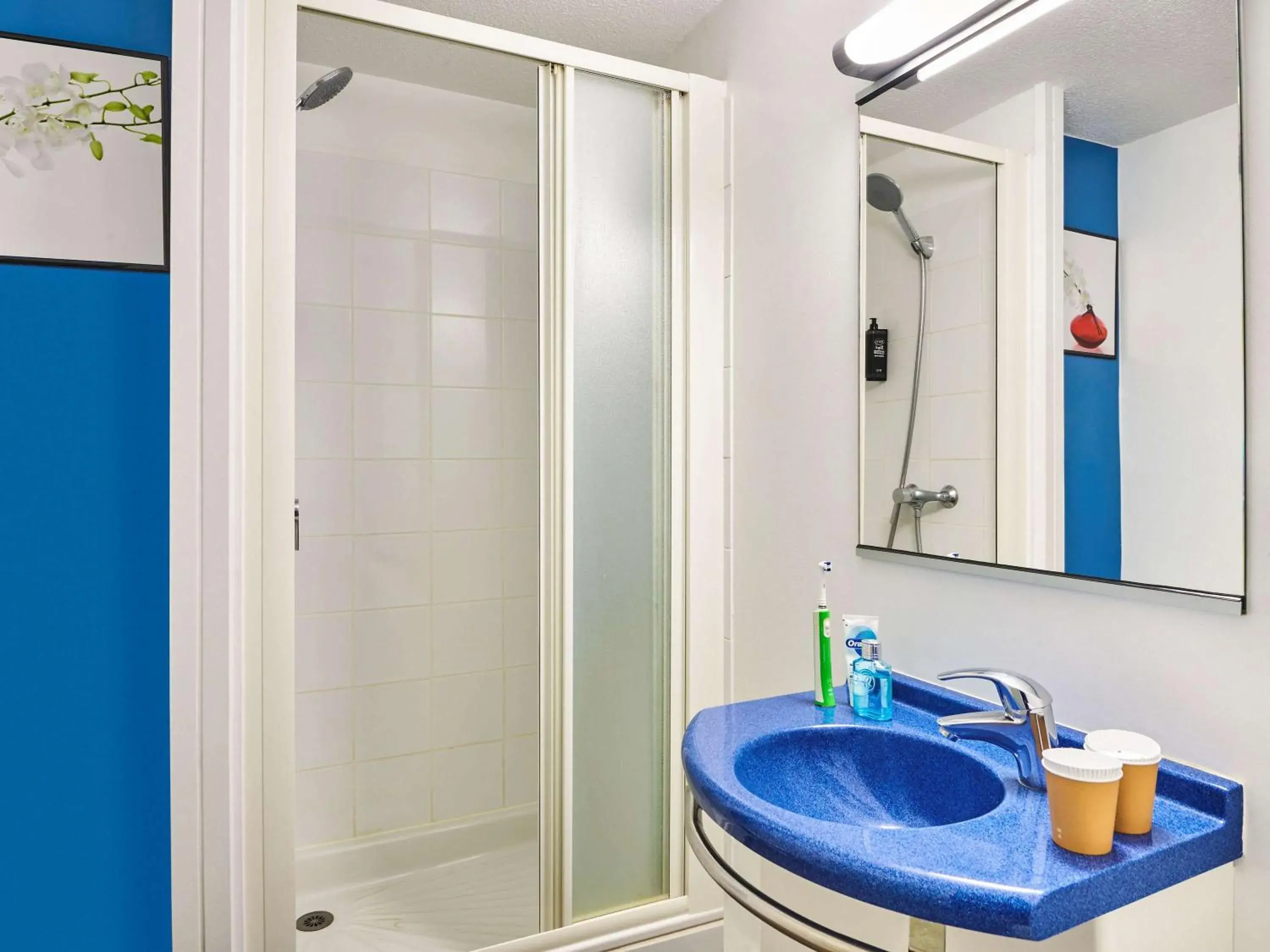 Photo of the whole room, Bathroom in Ibis Budget Versailles Coignieres